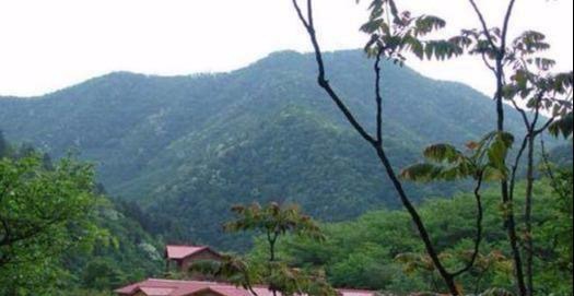 石龙山森林公园旅行图片 1