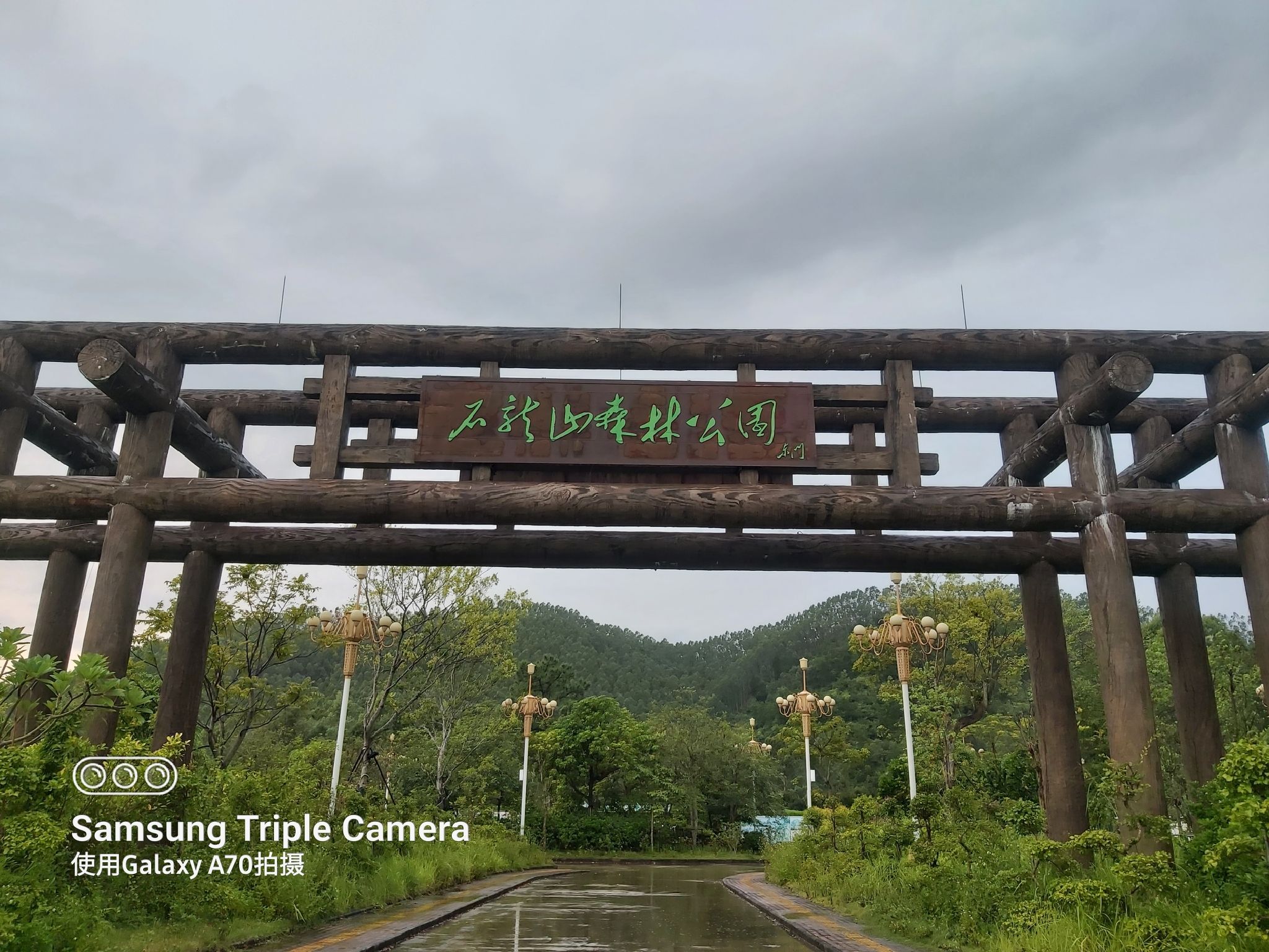 石龙山森林公园旅行图片 1