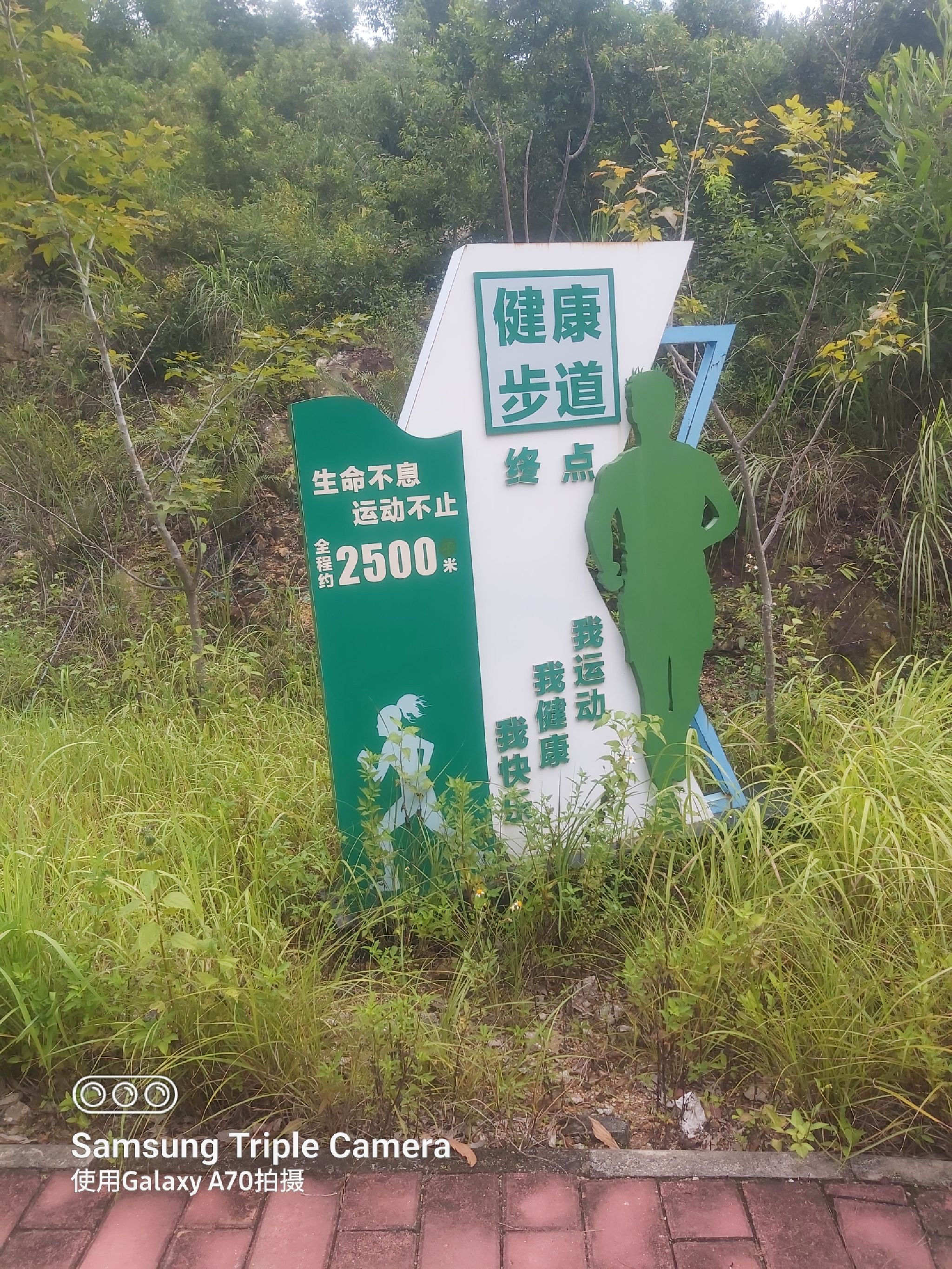 石龙山森林公园旅行图片 3