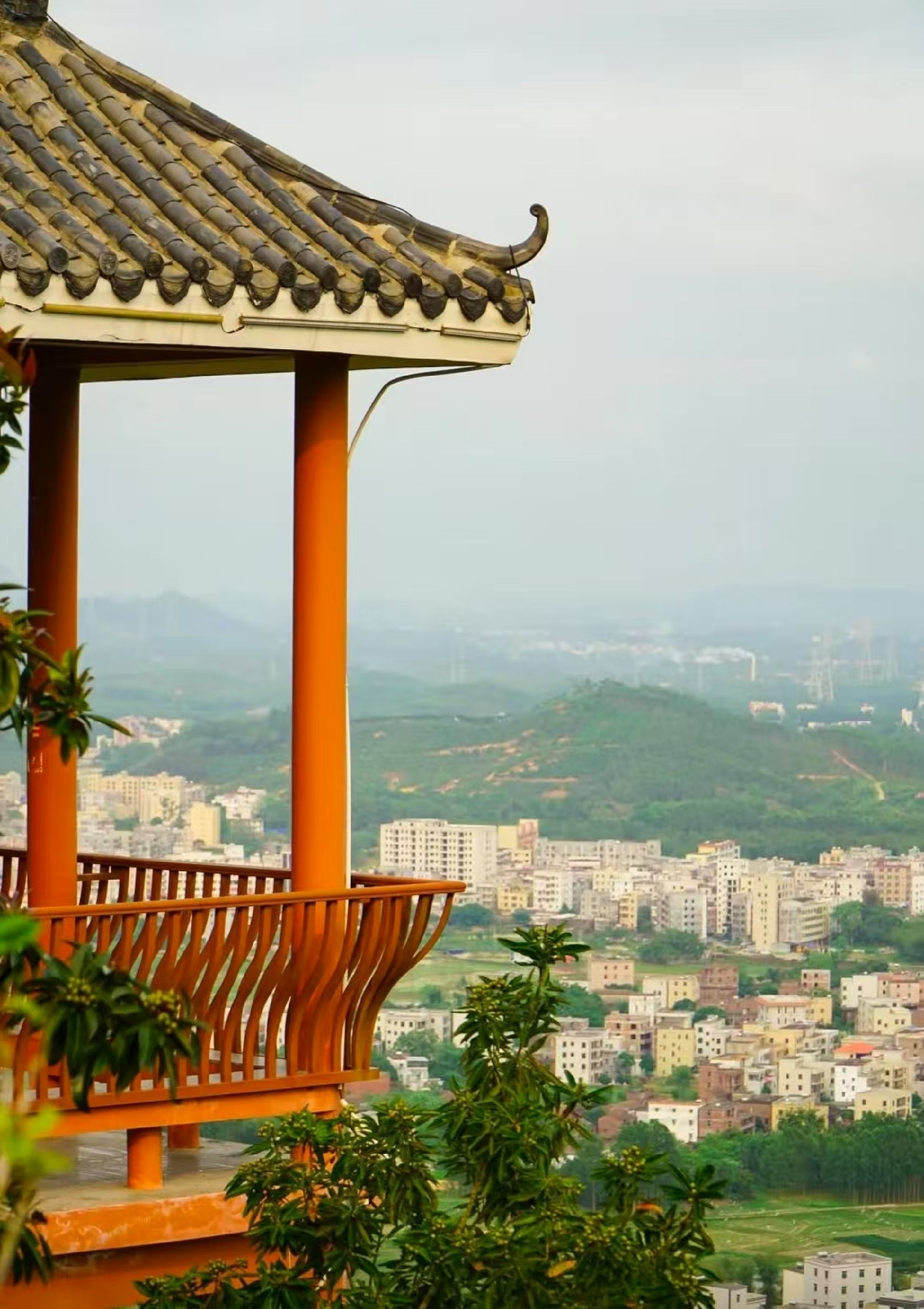 石龙山森林公园旅行图片 1