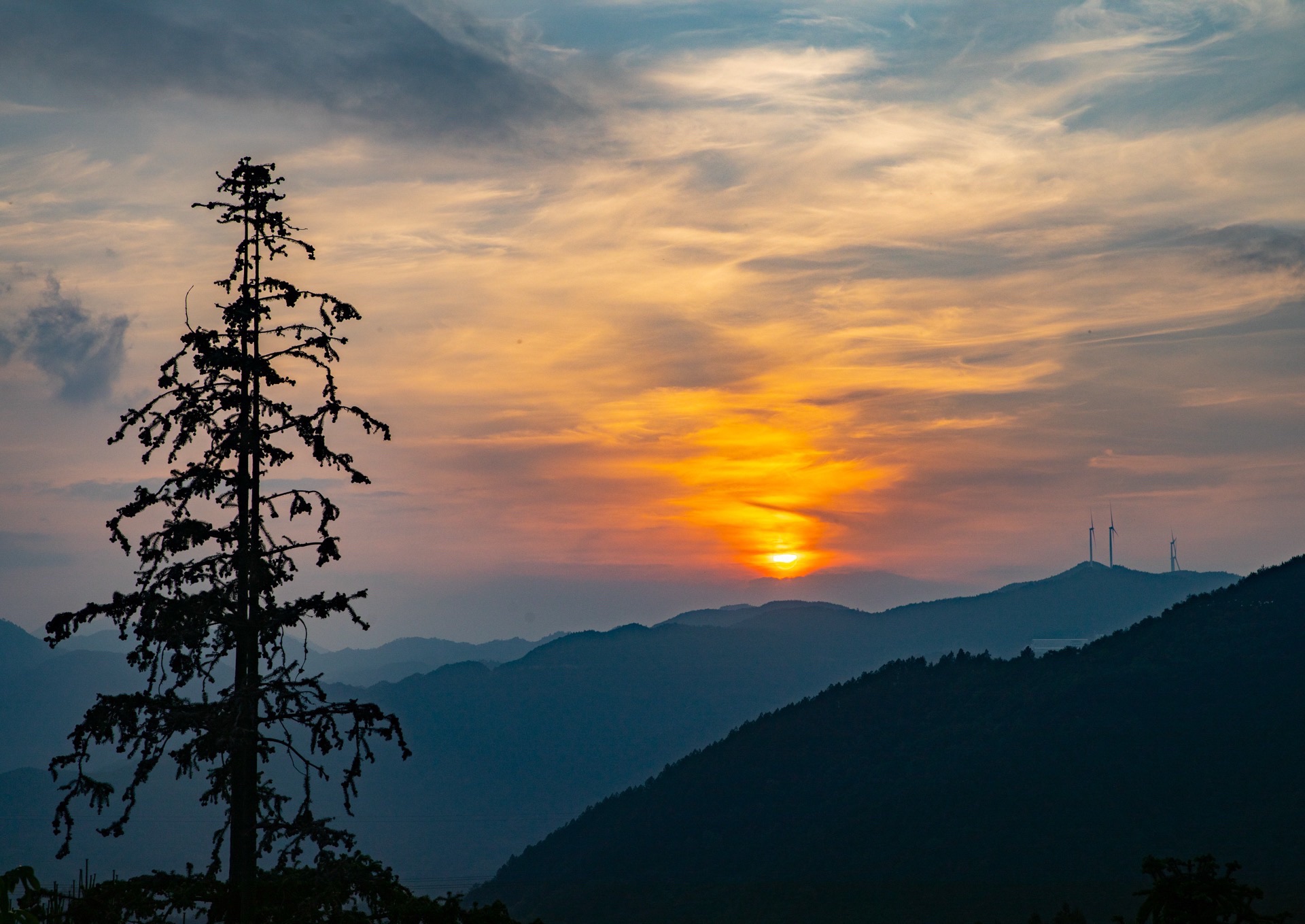 石龙山森林公园旅行图片 2