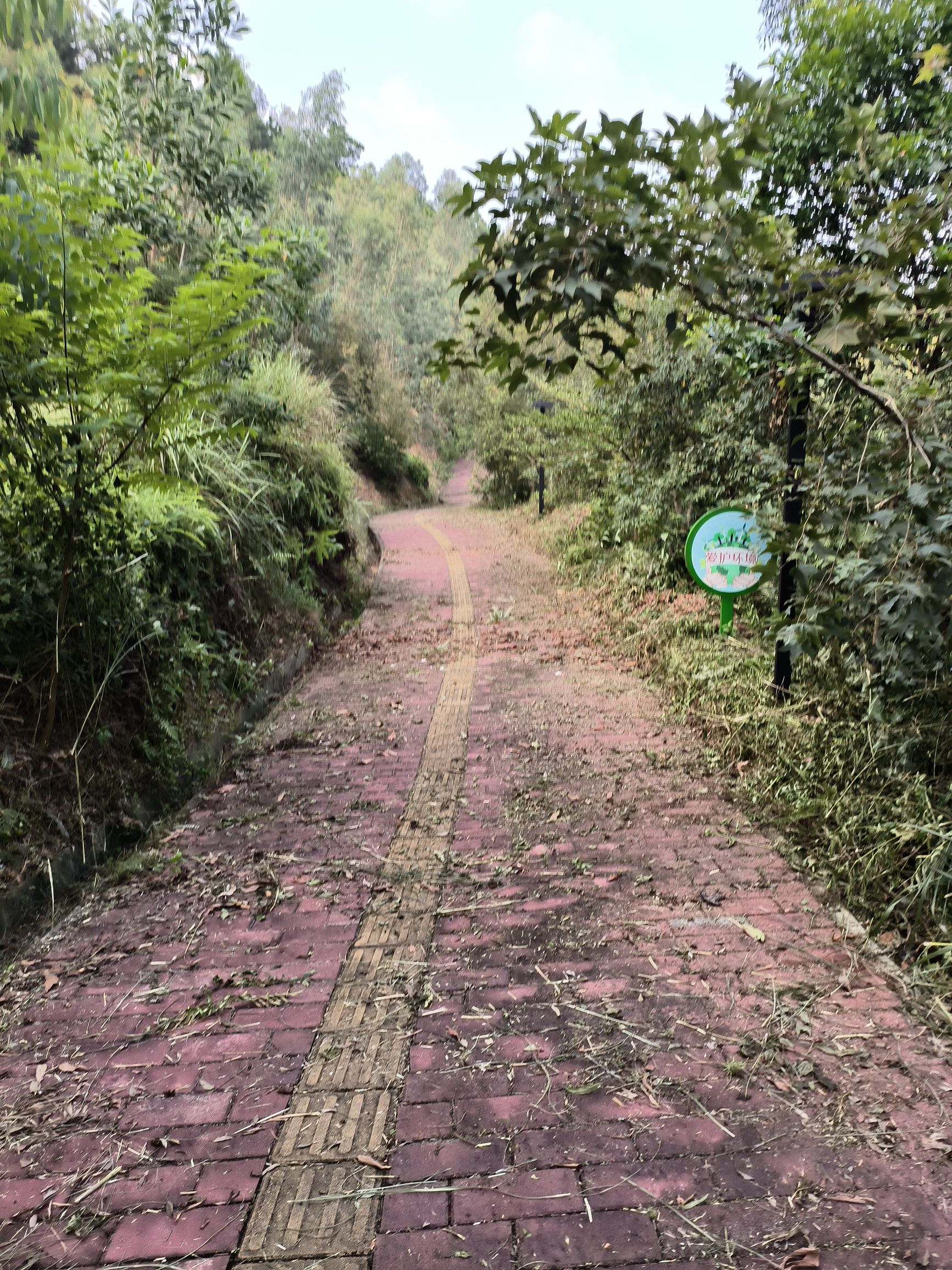 石龙山森林公园旅行图片 3