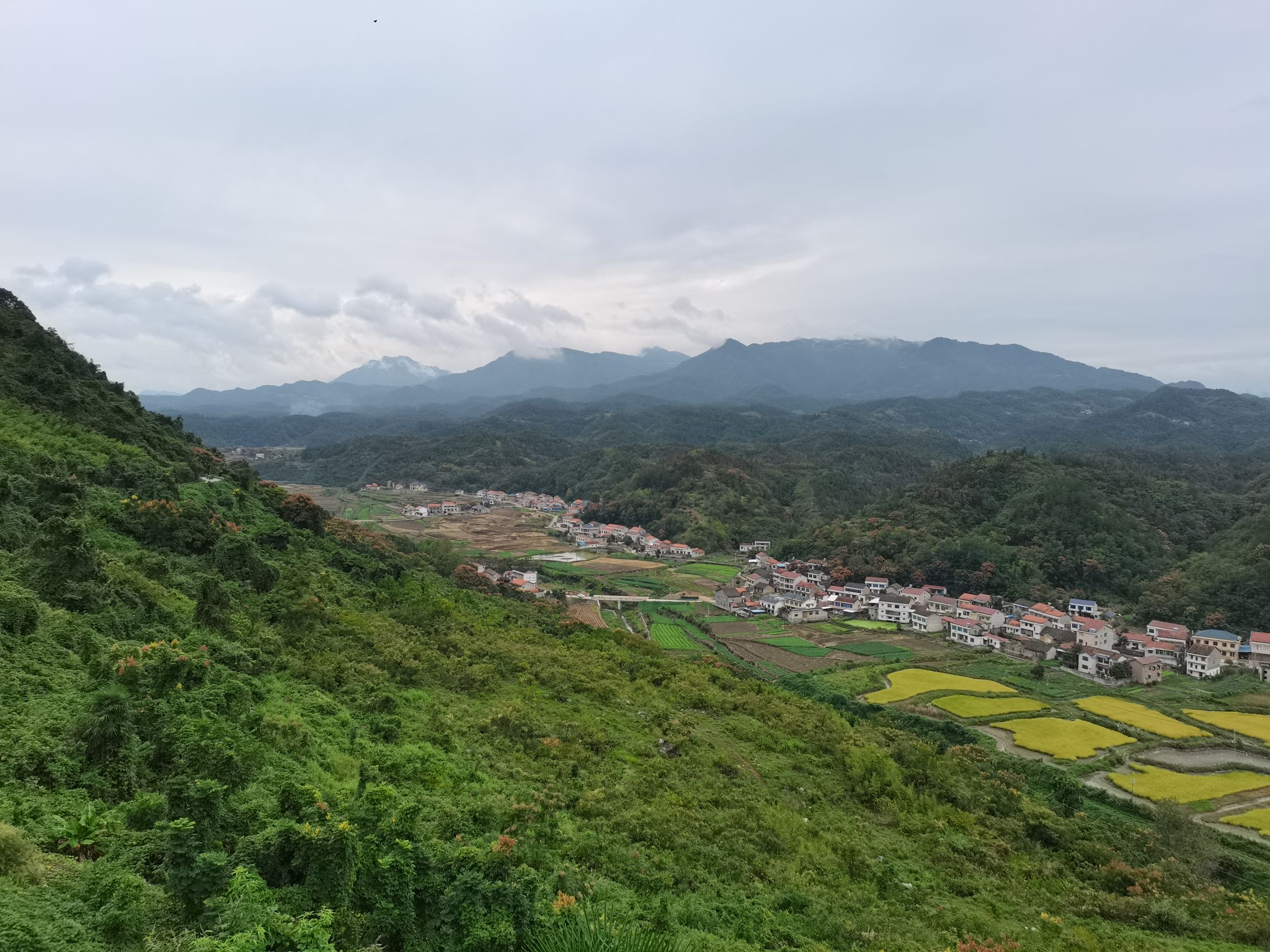 观景台旅行图片 3