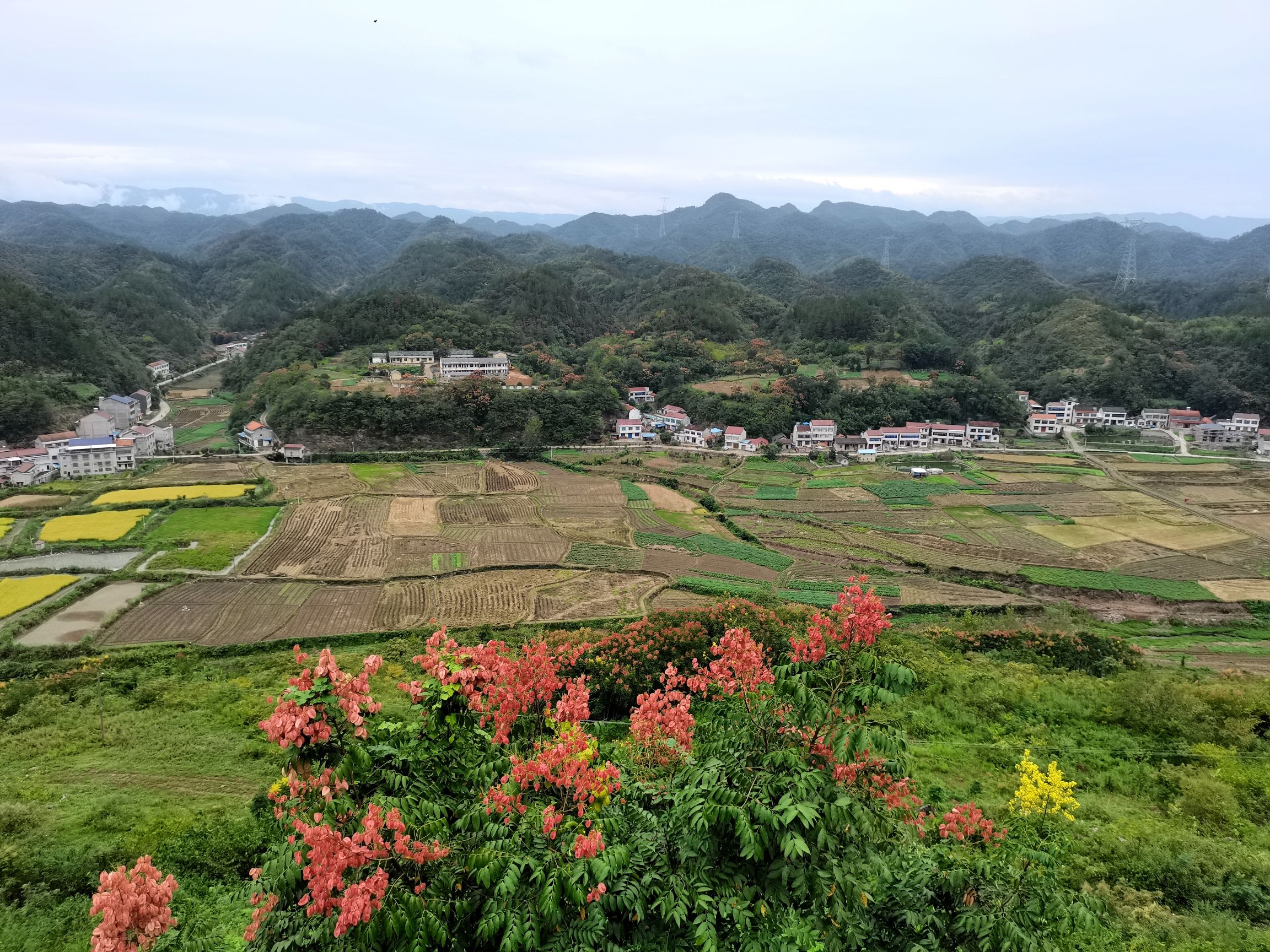 观景台旅行图片 1