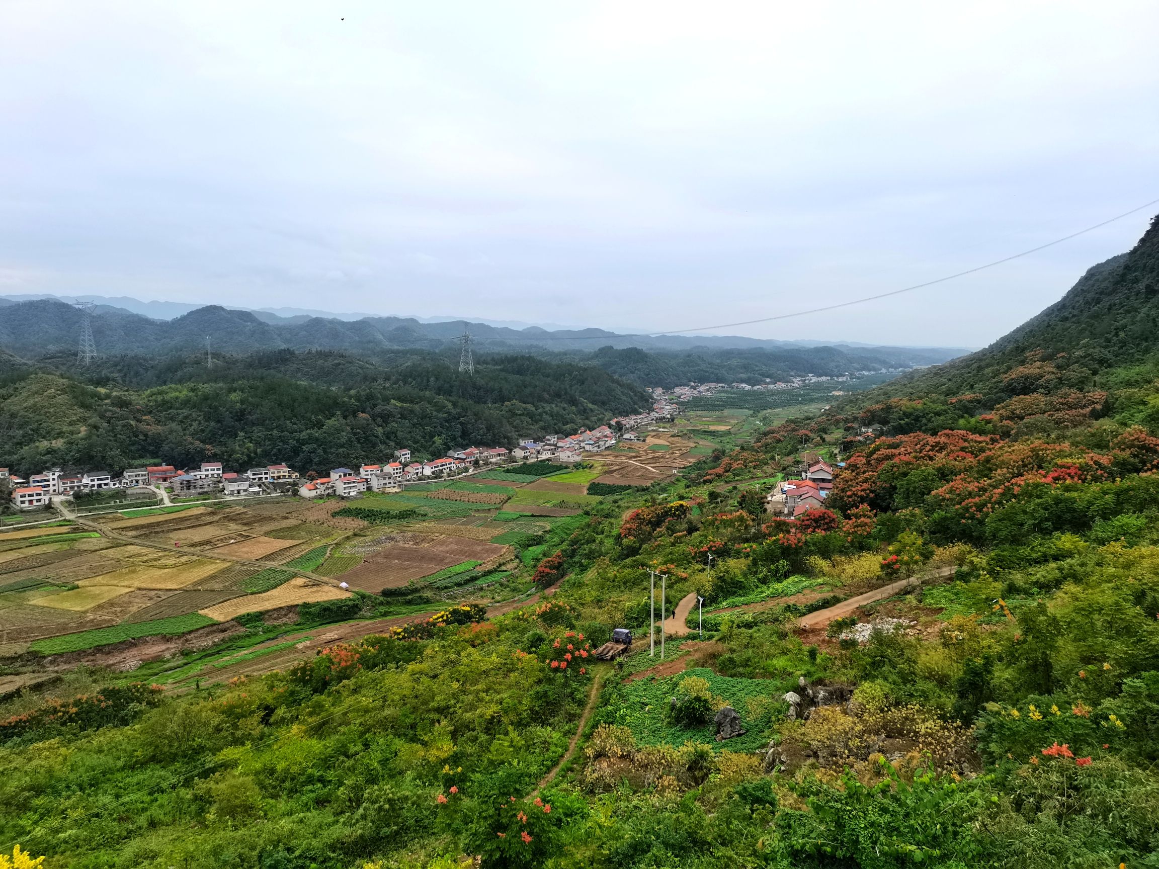 观景台旅行图片 2