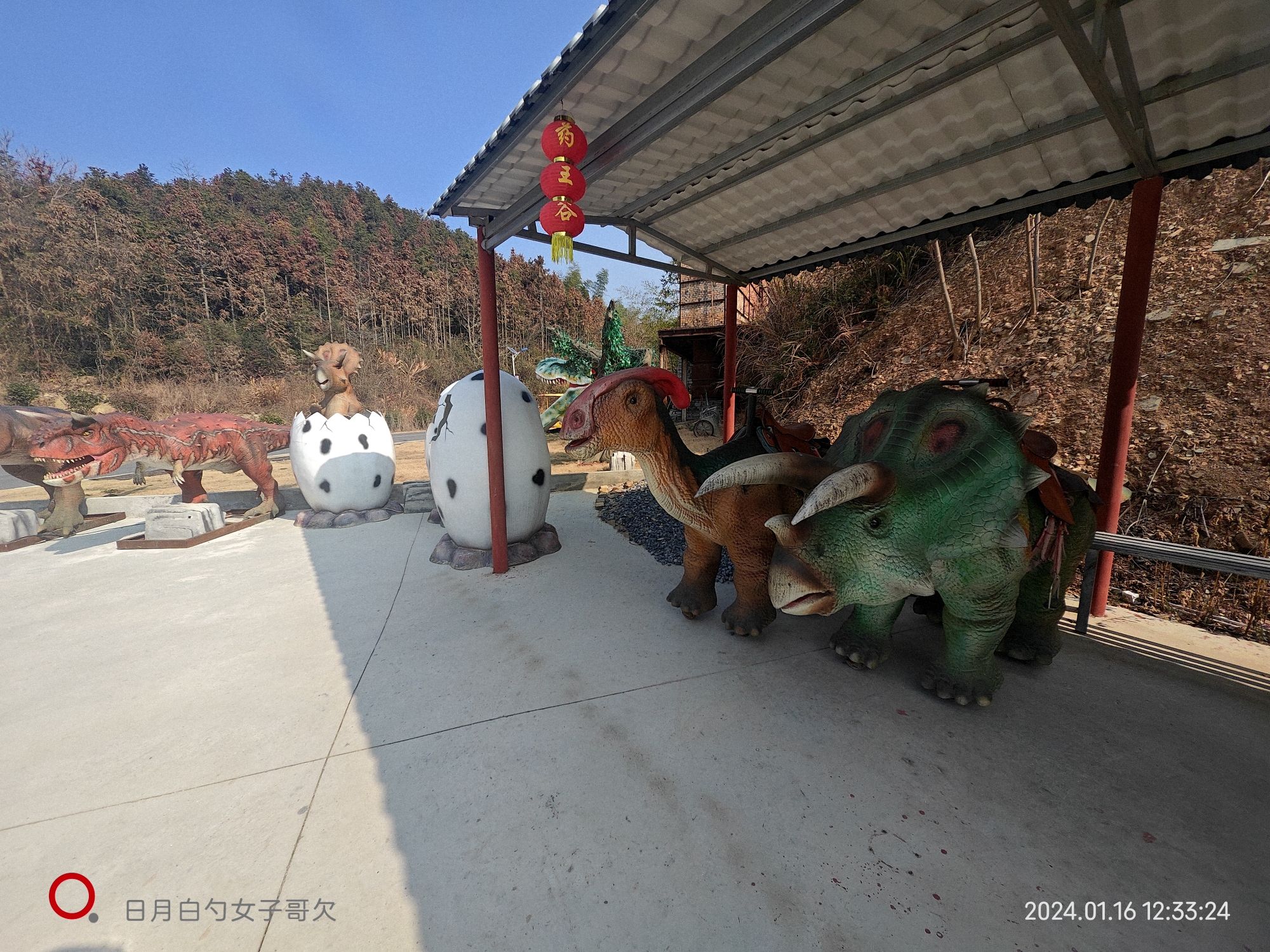杏林药王谷旅行图片 3