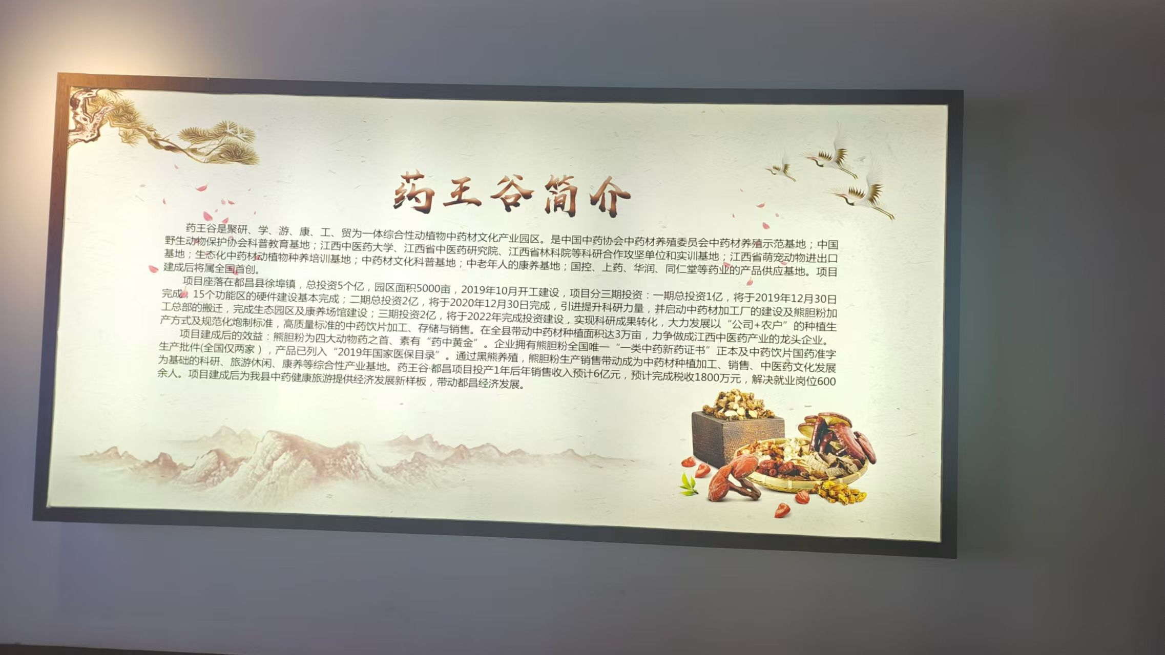 杏林药王谷旅行图片 1