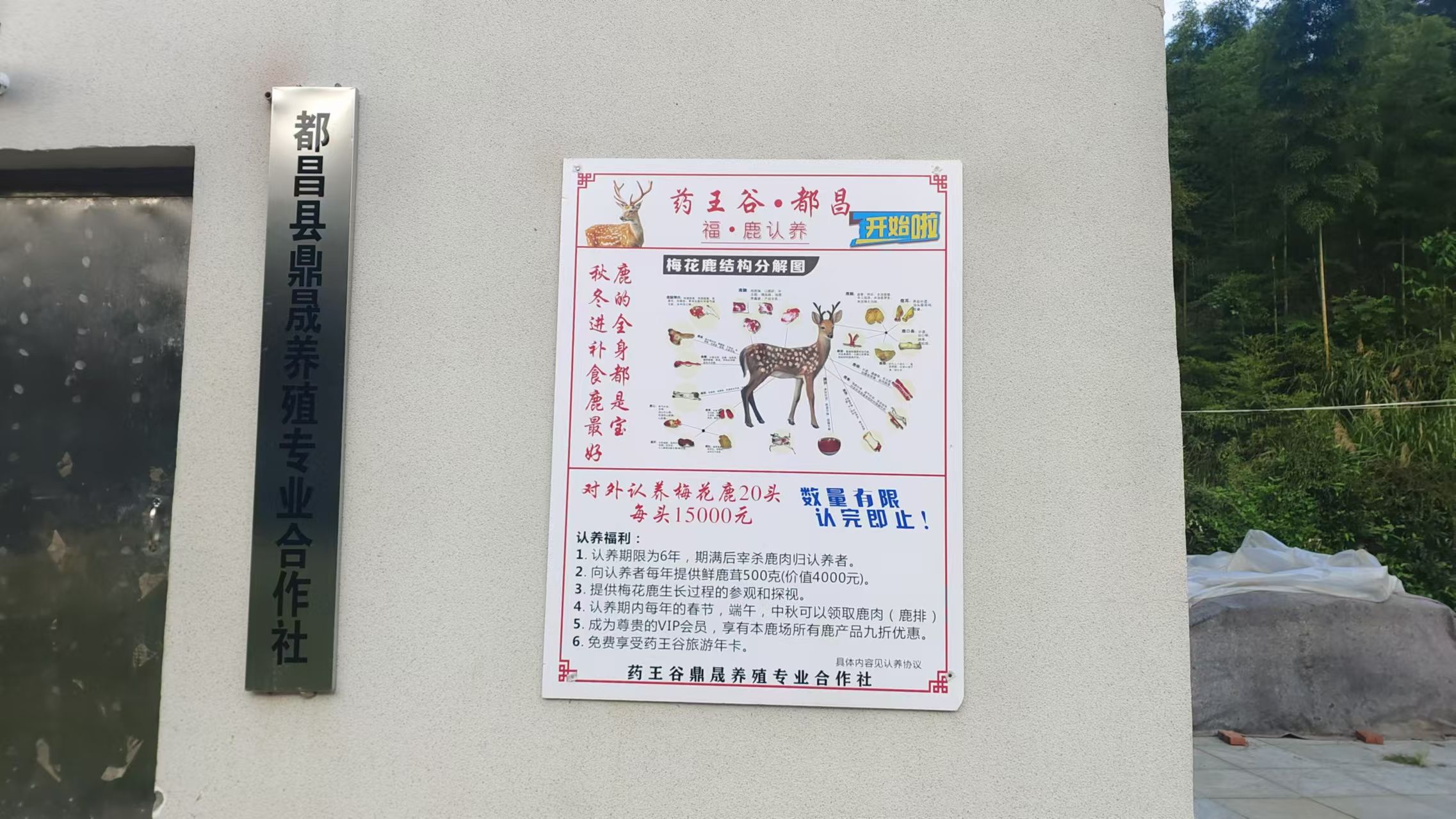杏林药王谷旅行图片 2