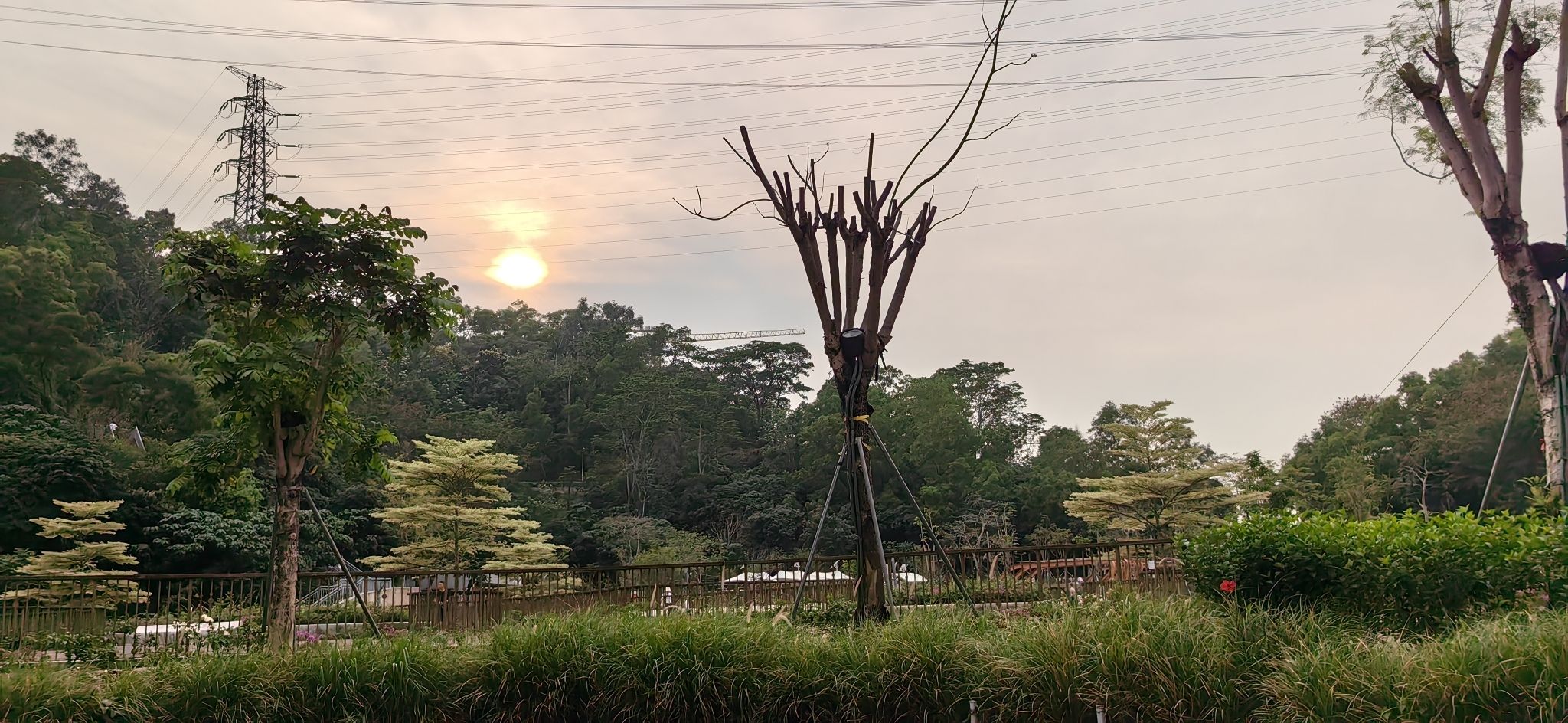 尖岗山公园旅行图片 2