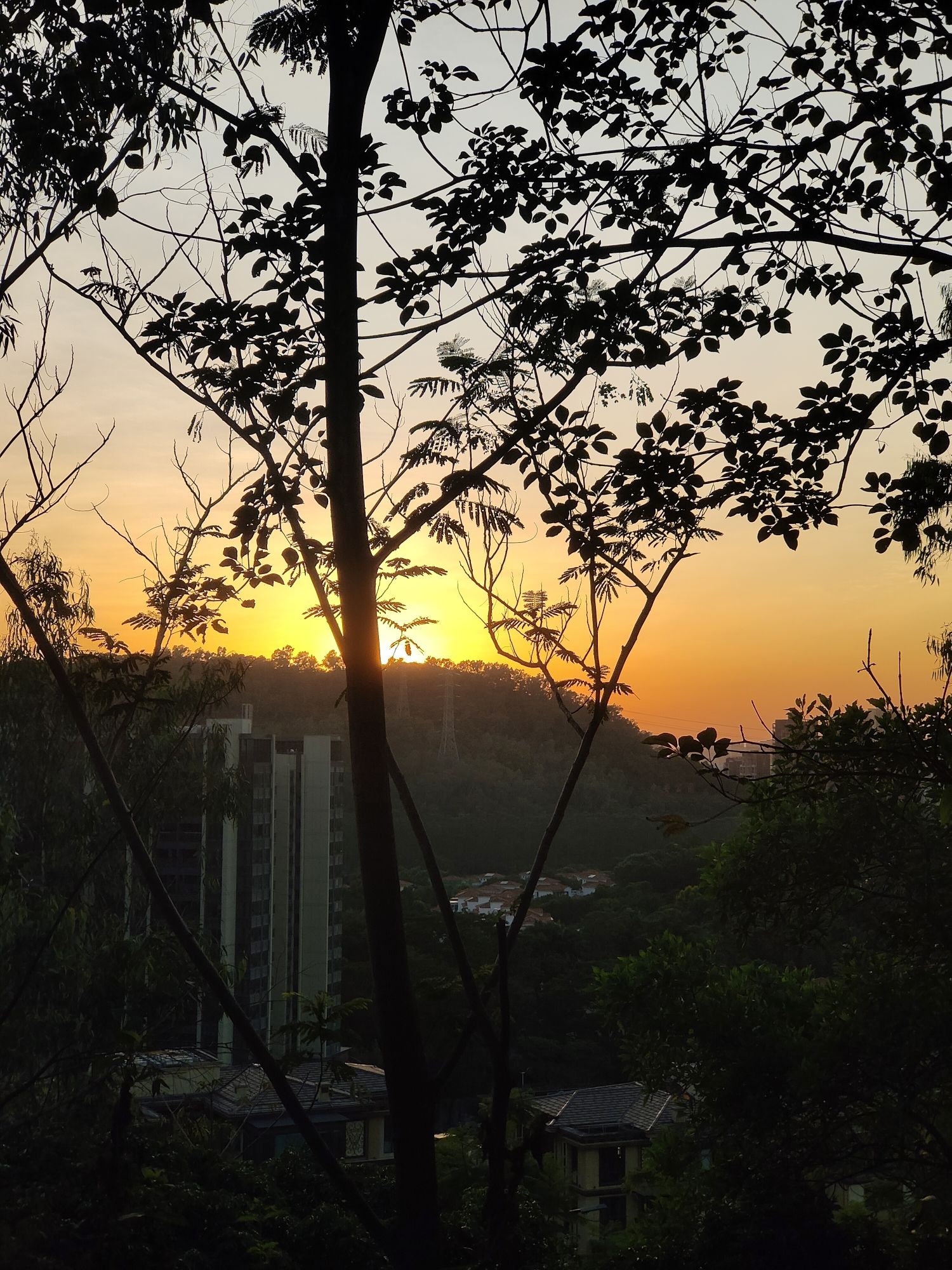 尖岗山公园旅行图片 2
