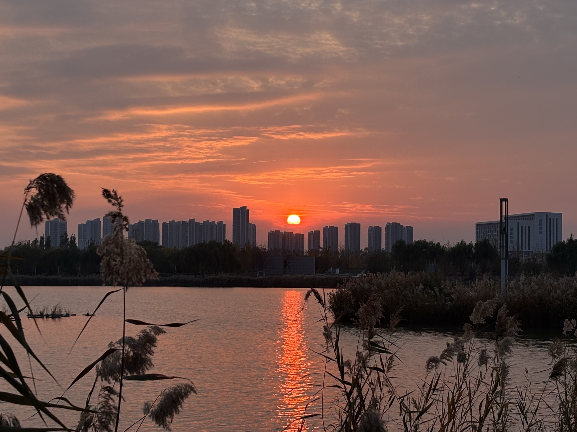 市民公园旅行图片 2