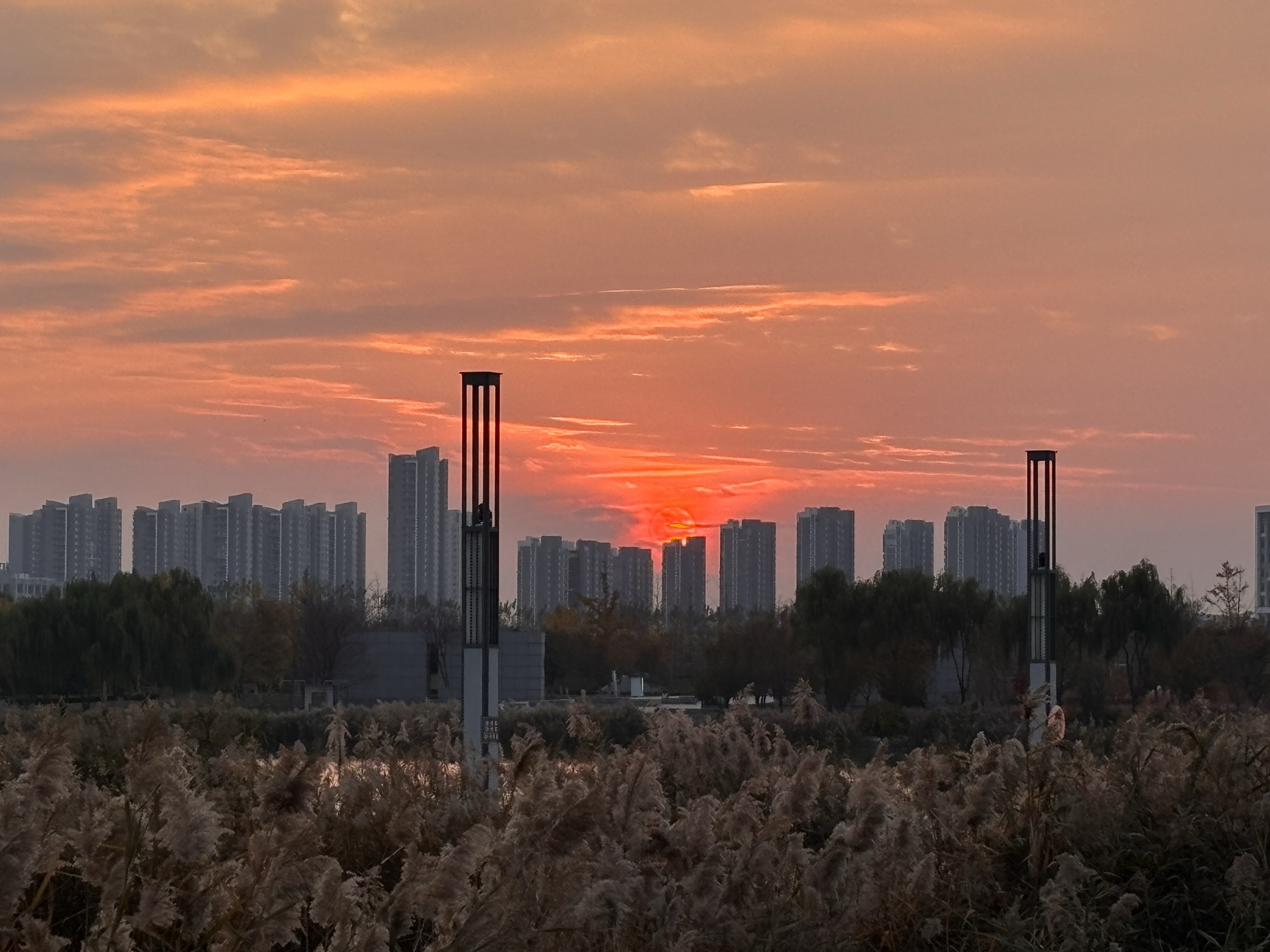 市民公园旅行图片 3