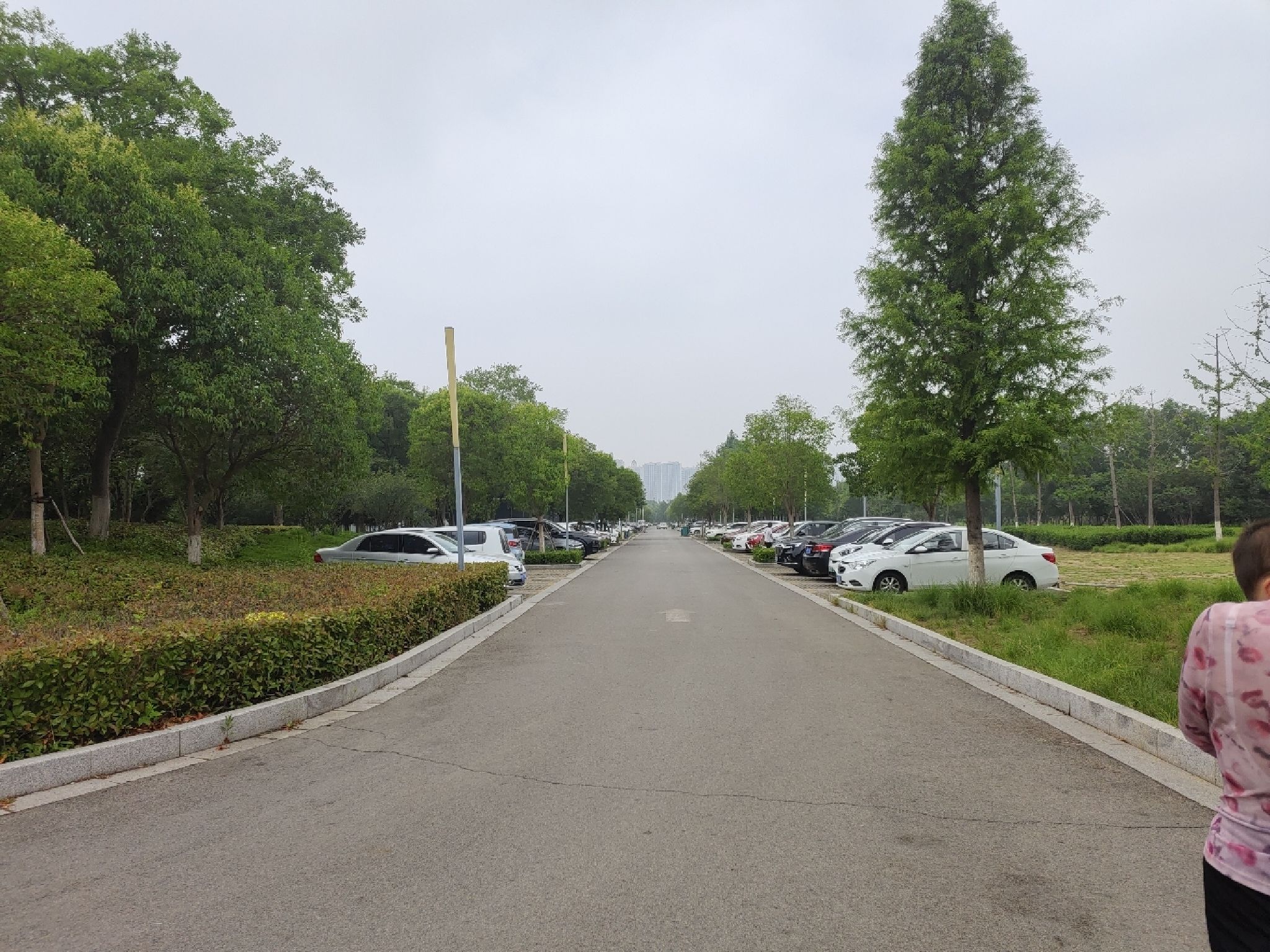 市民公园旅行图片 1