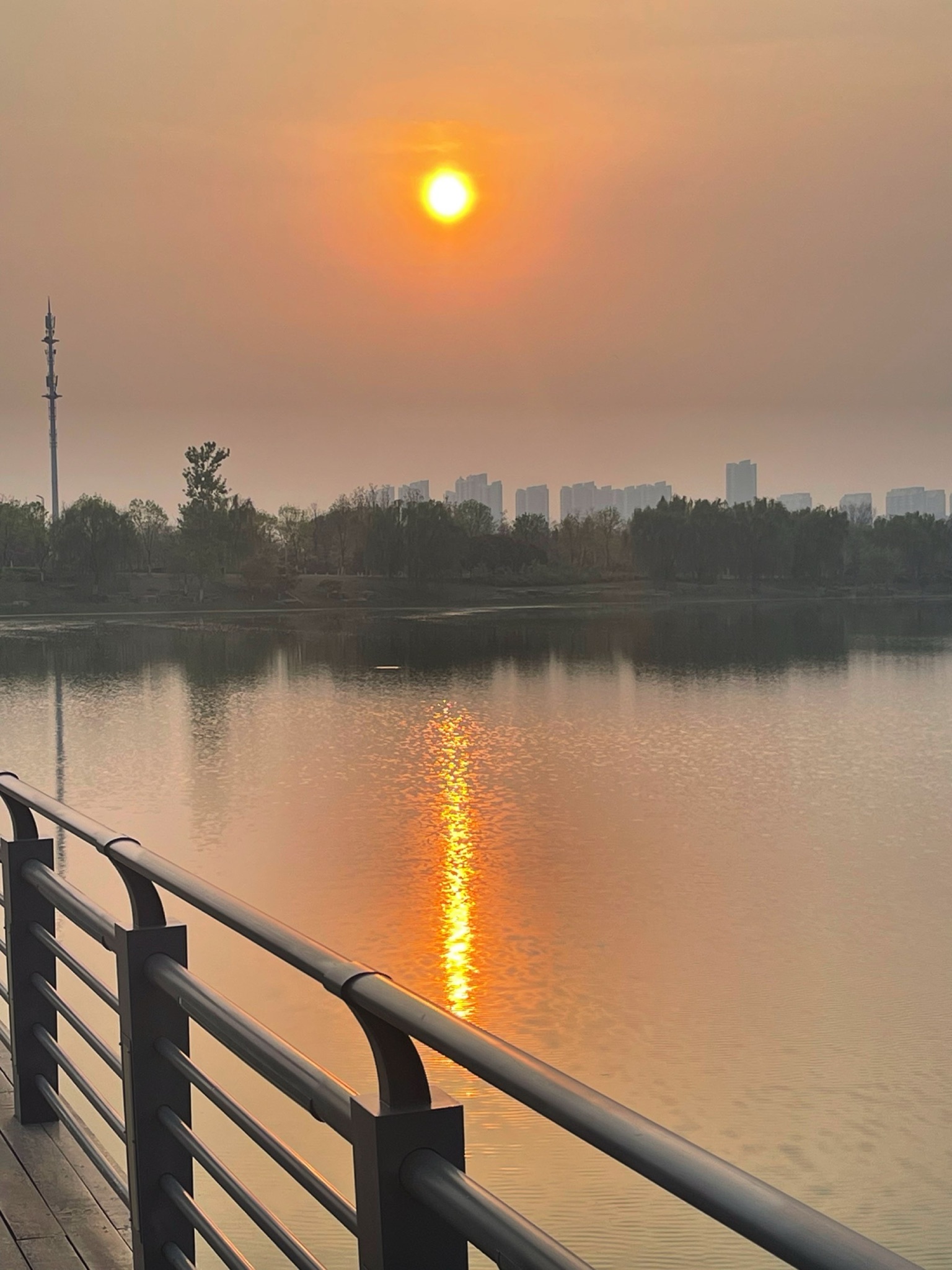 市民公园旅行图片 1