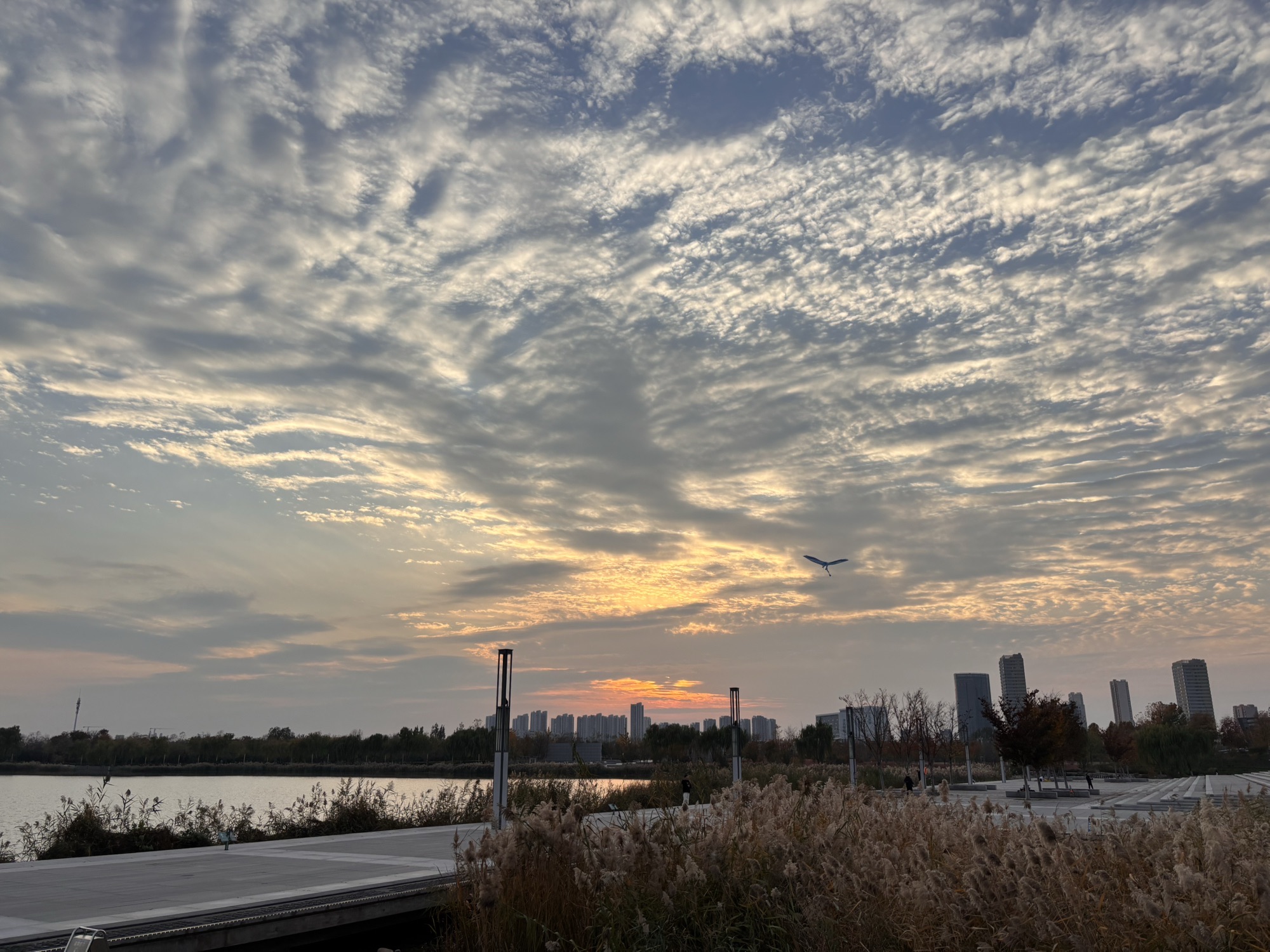 市民公园旅行图片 1