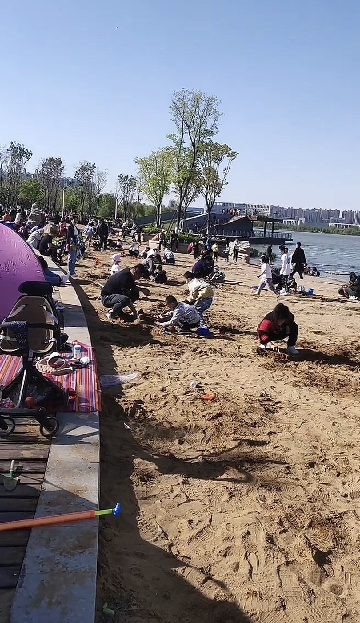 市民公园旅行图片 3