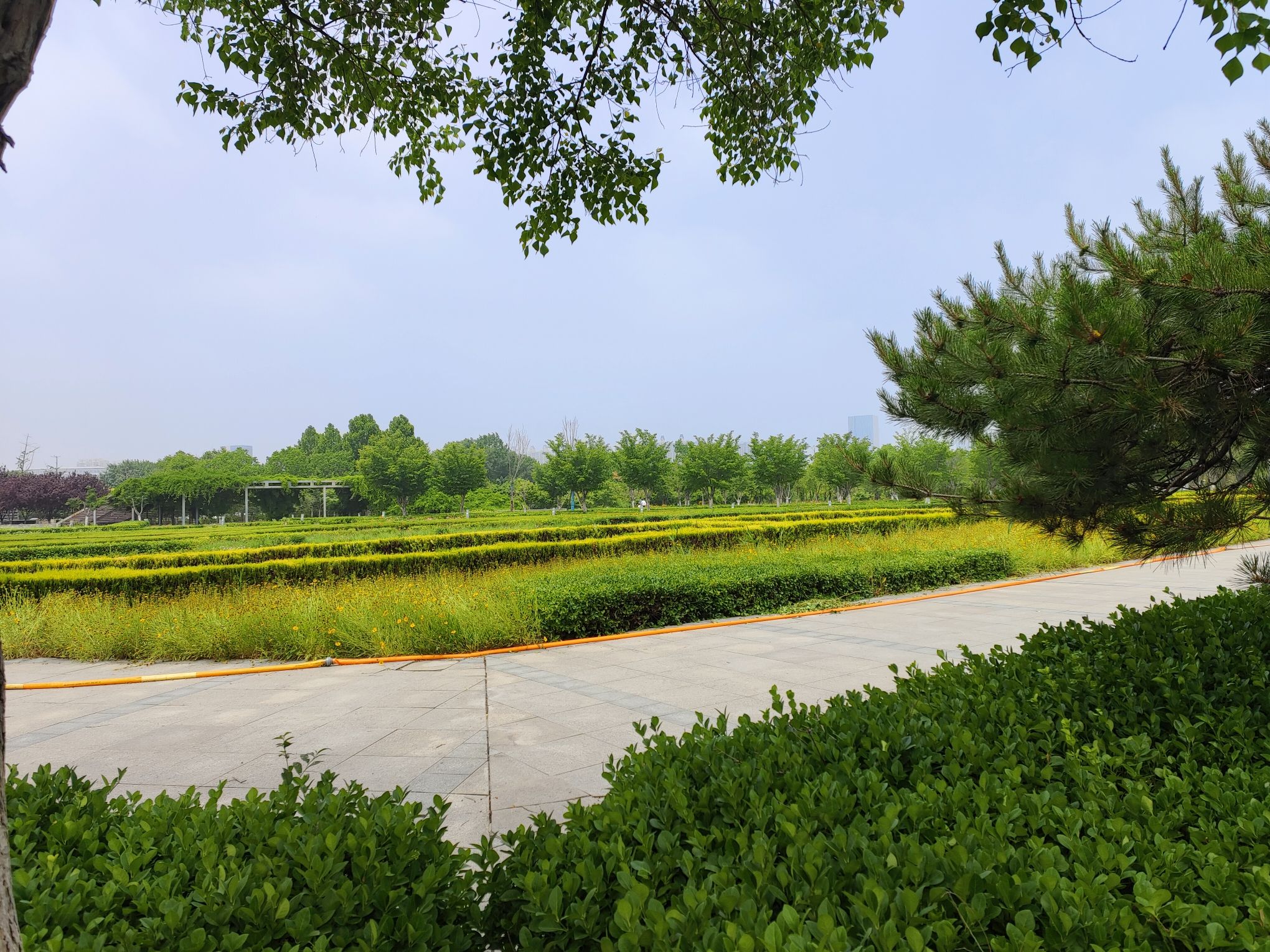 市民公园旅行图片 3
