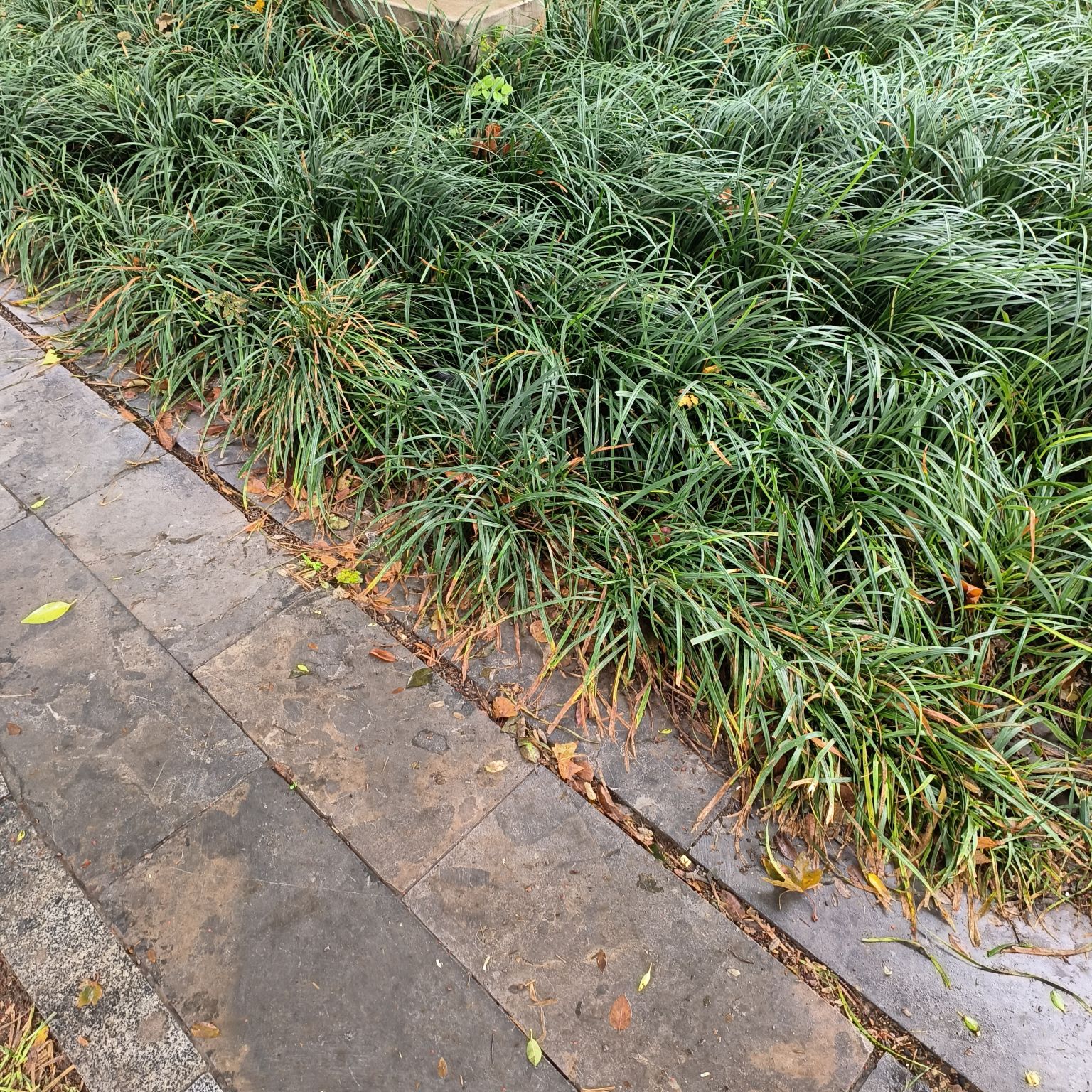 点翠园旅行图片 2