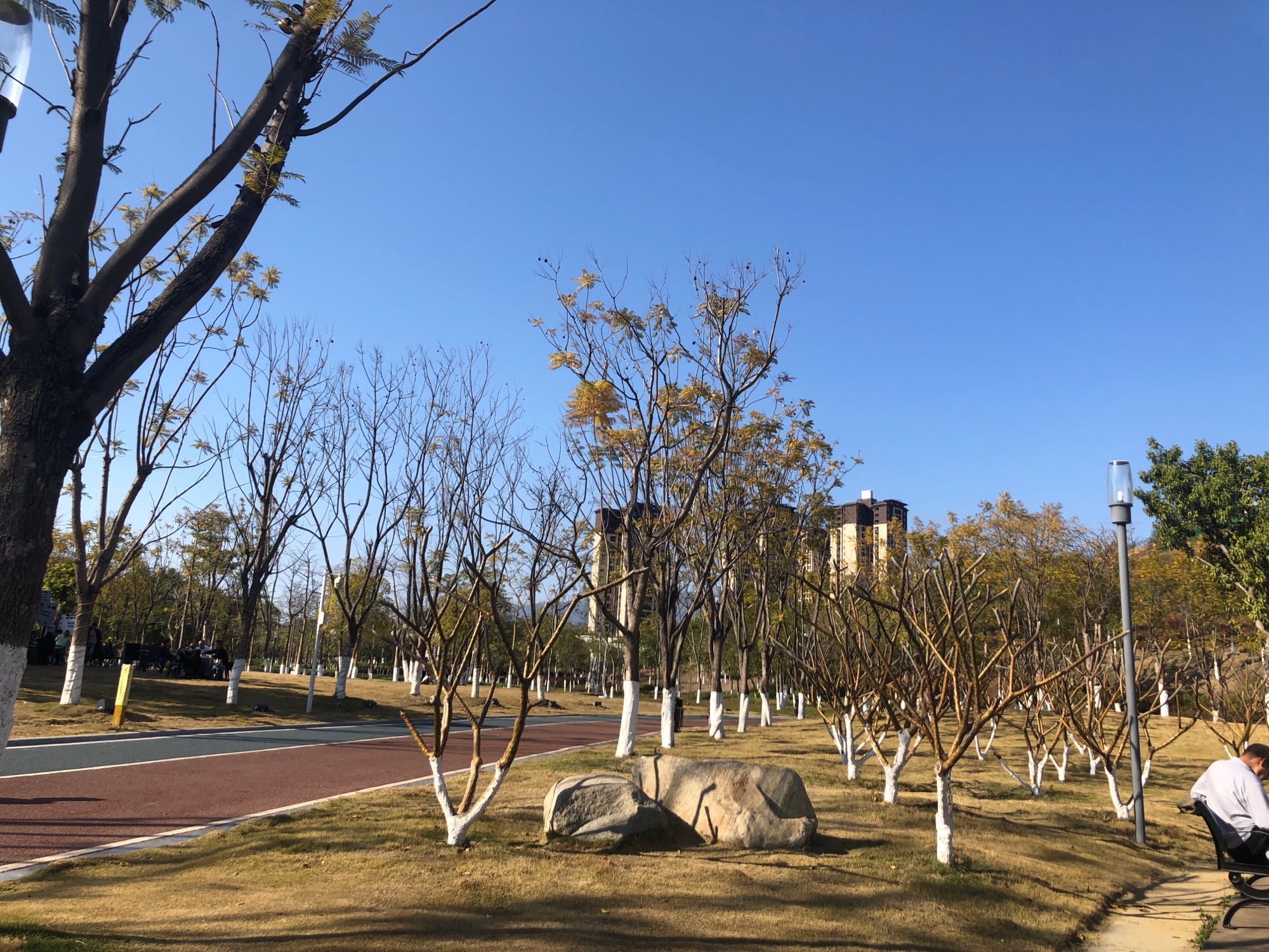 天星湖创意潮流公园(CFP)旅行图片 3