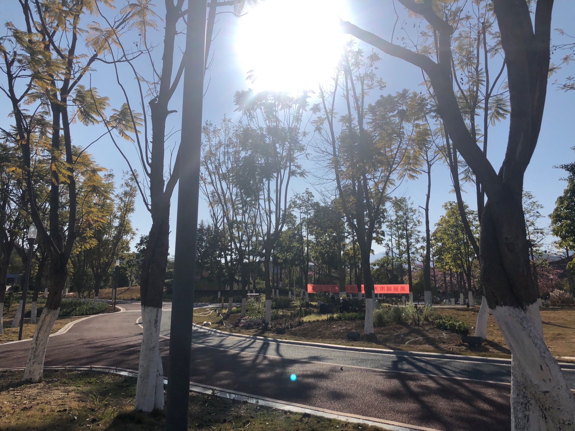 天星湖创意潮流公园(CFP)旅行图片 2