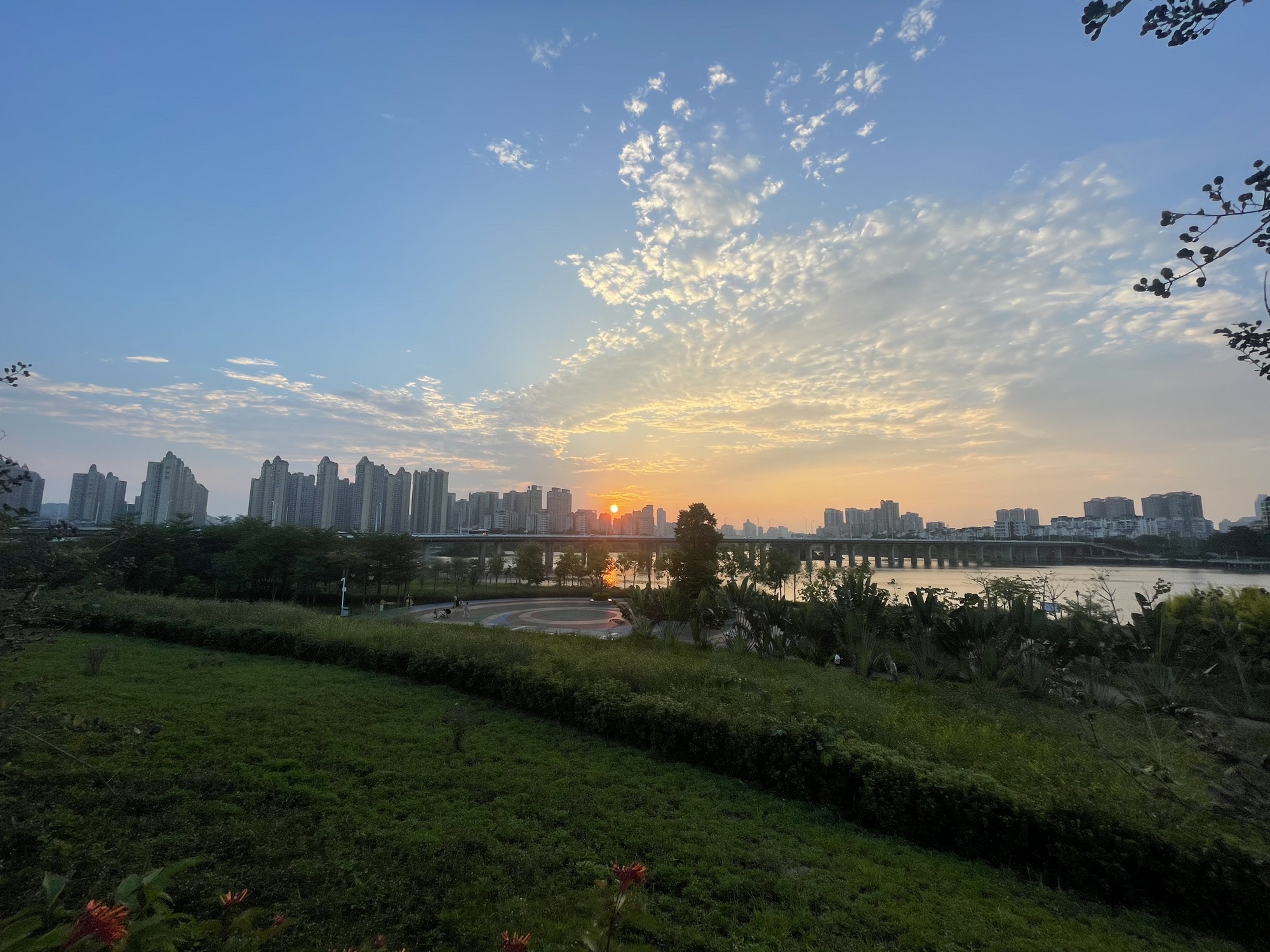 花香沁园公园旅行图片 2