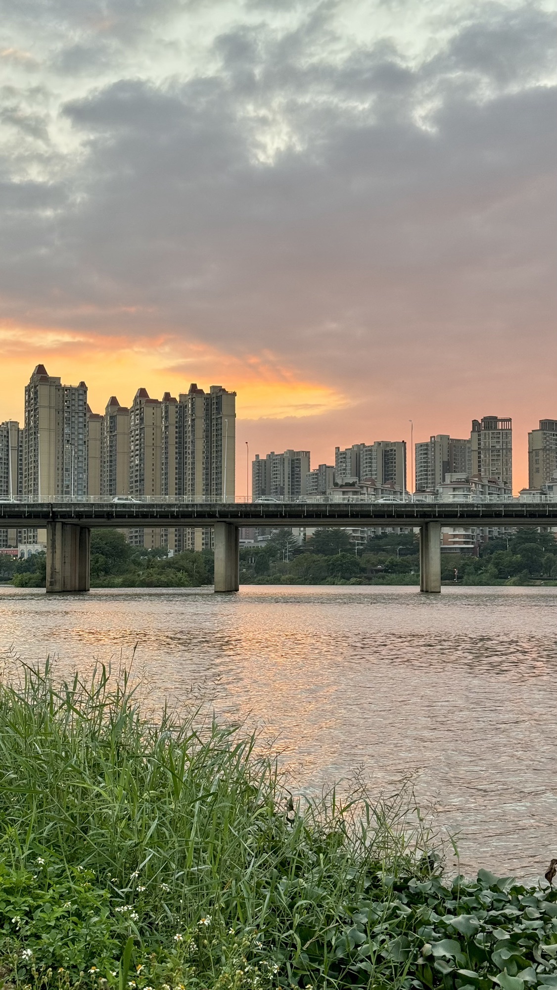 花香沁园公园旅行图片 2