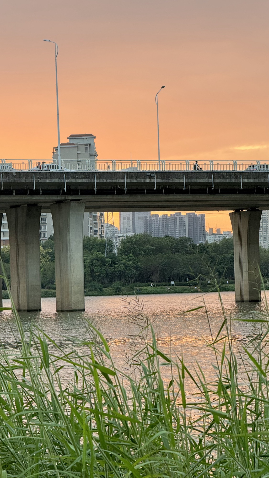 花香沁园公园旅行图片 3