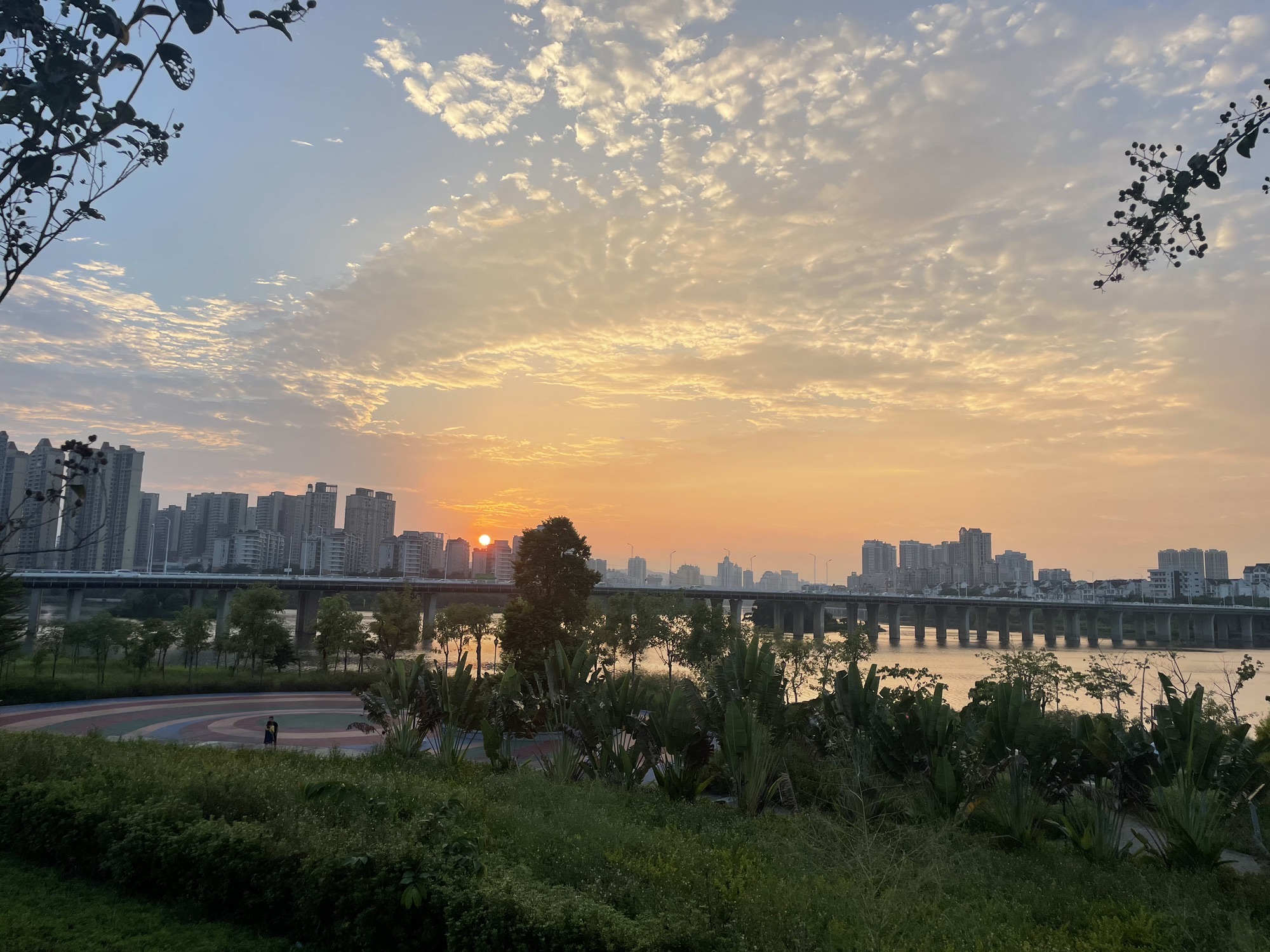 花香沁园公园旅行图片 1