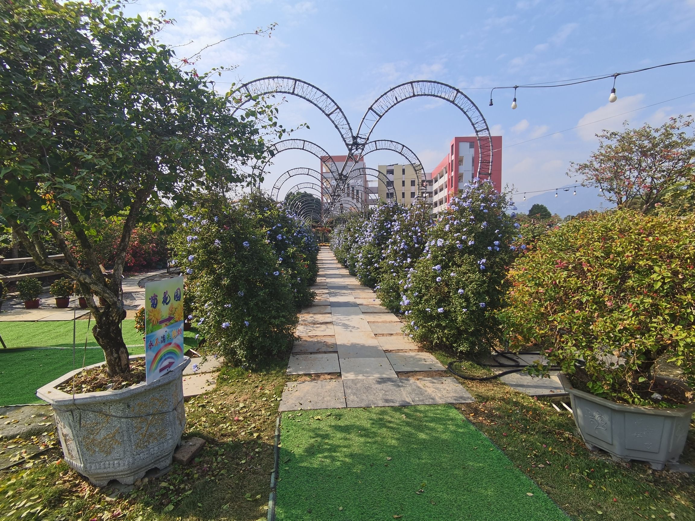花卉庄园·清远本地菜