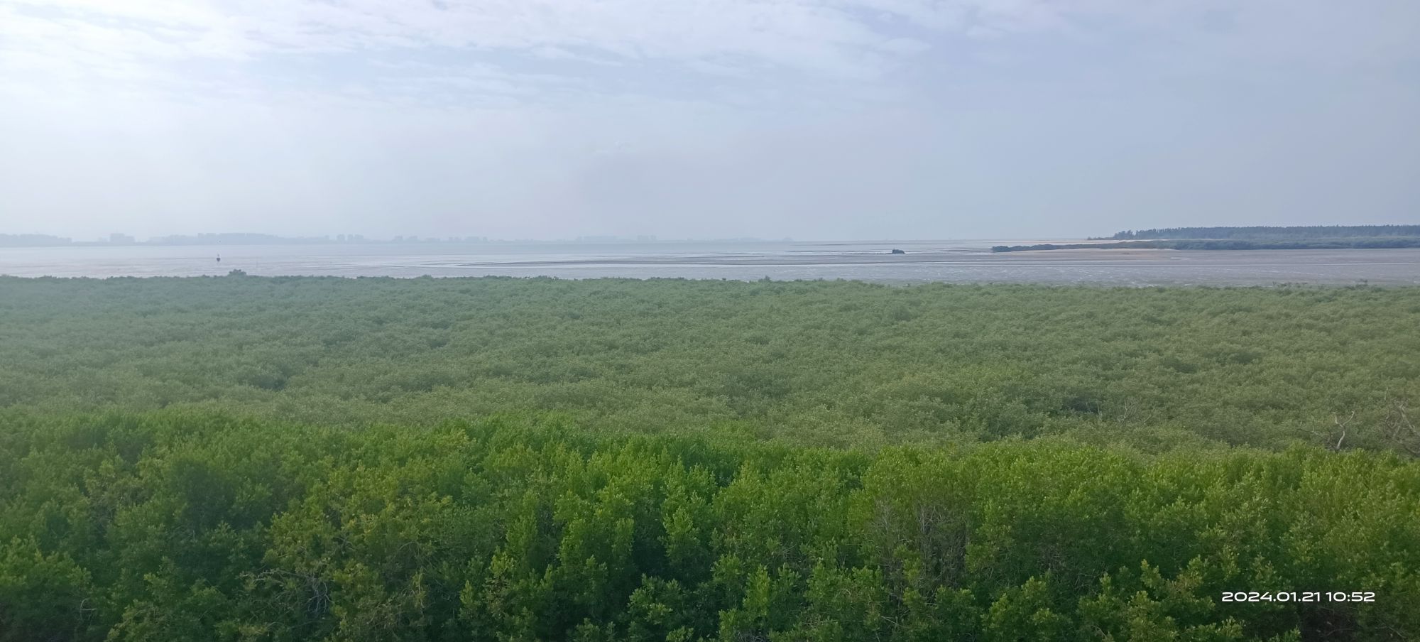 海南东方黑脸琵鹭省级自然保护区