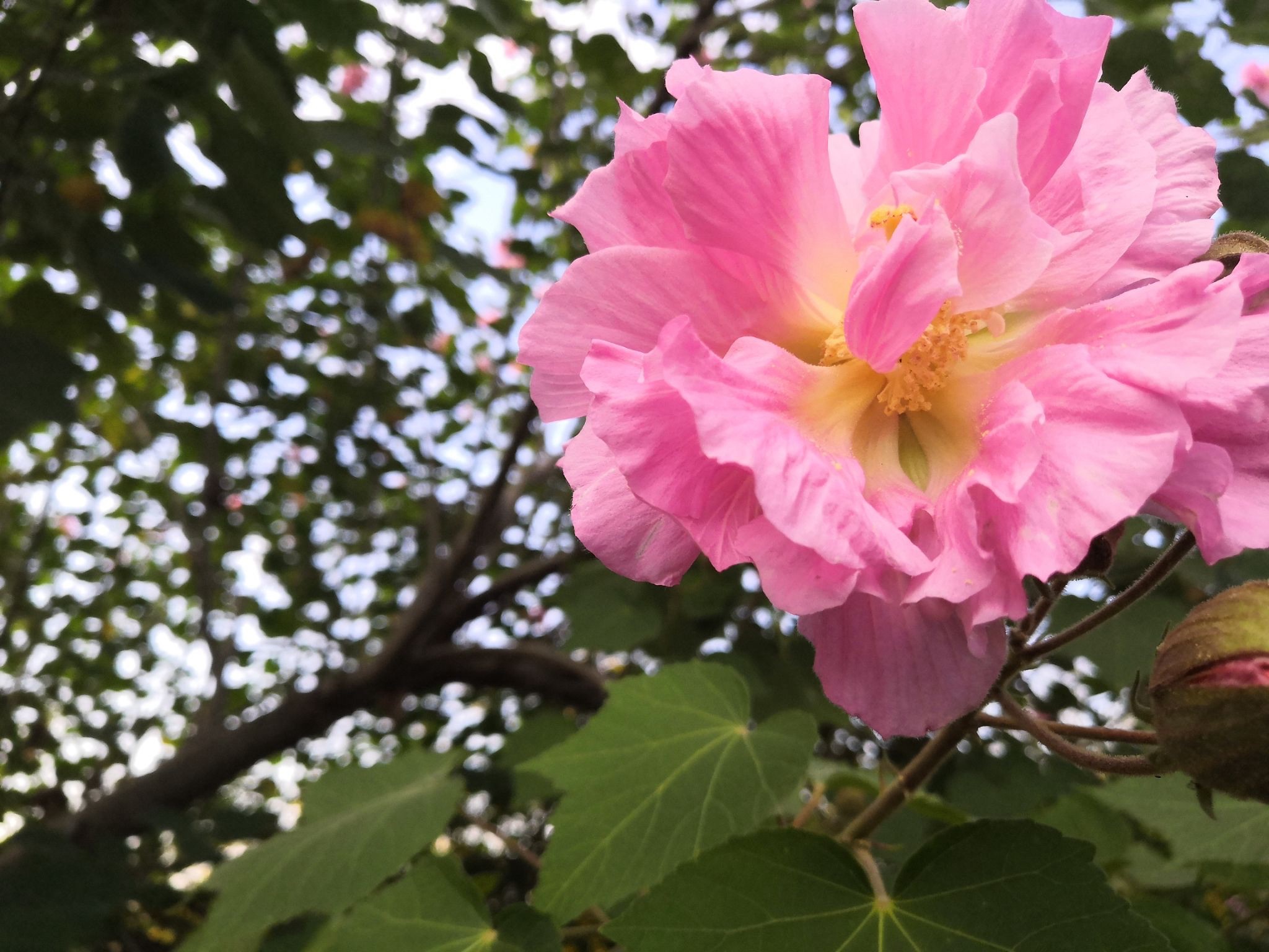 蕙芷园旅行图片 1