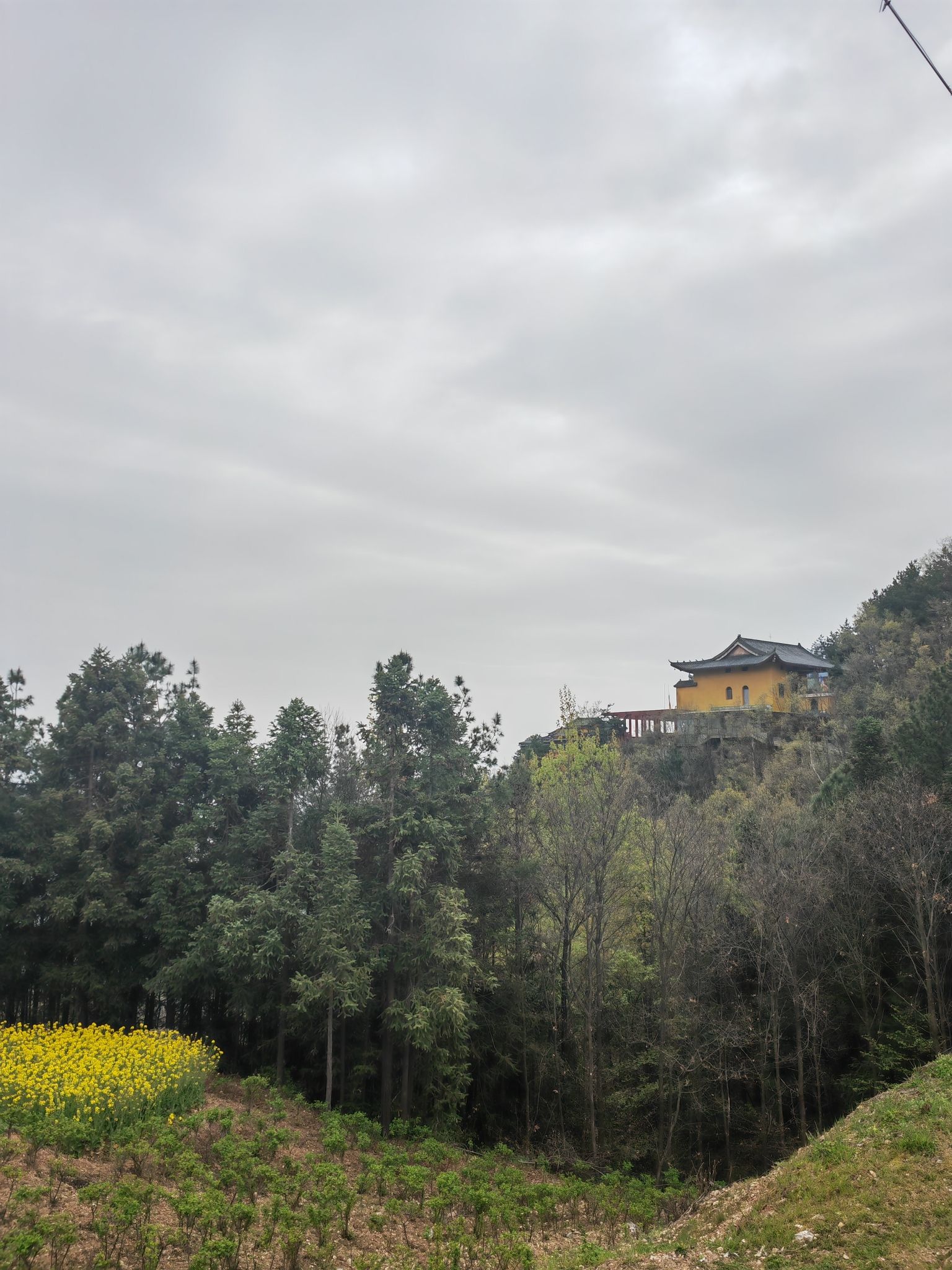 牛山朱雀寺