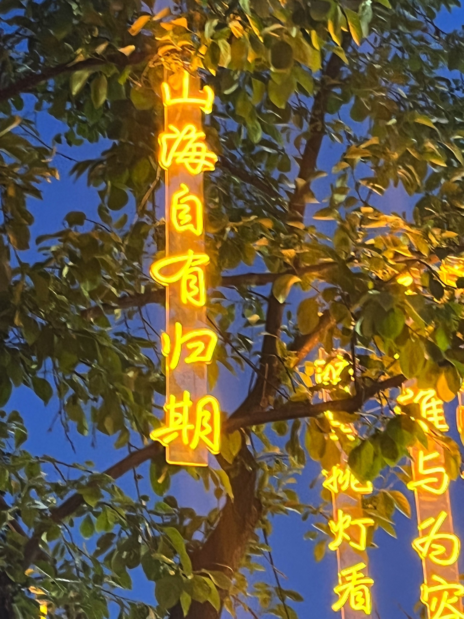 语荷田园旅行图片 1