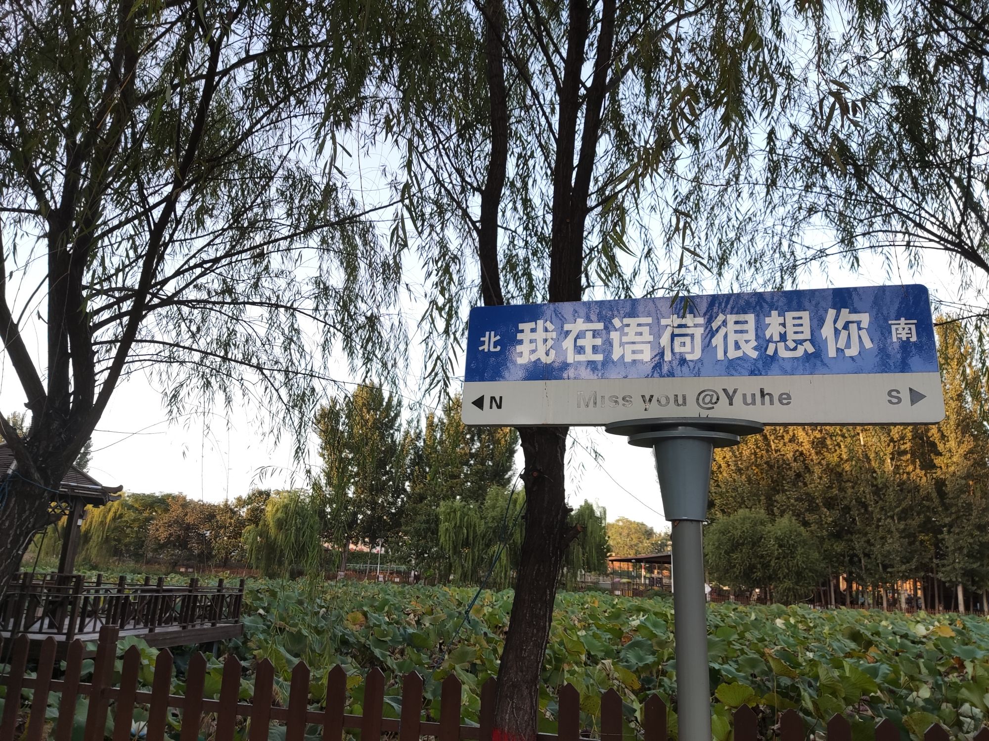 语荷田园旅行图片 1