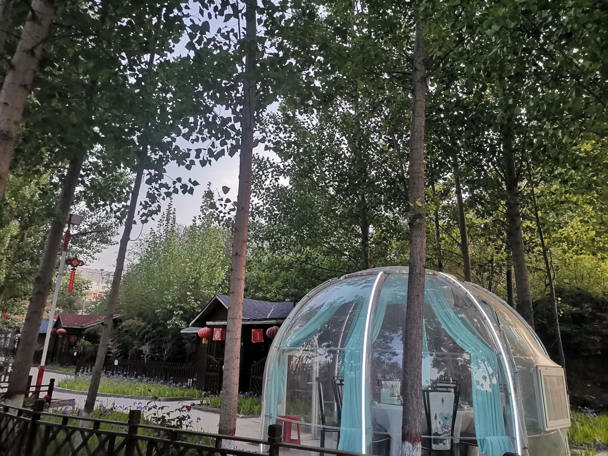 语荷田园旅行图片 2