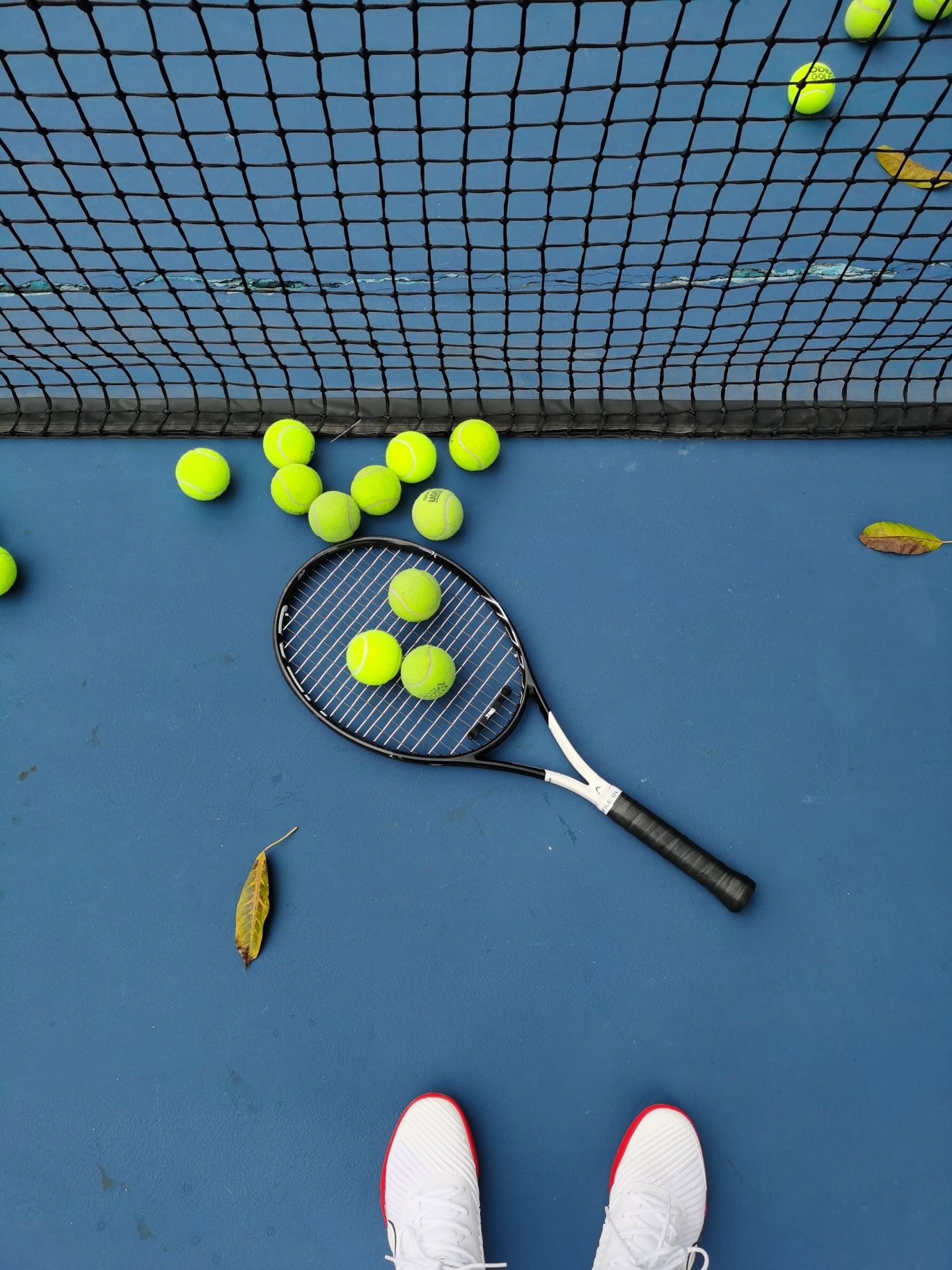 场地封面-弘金地网球