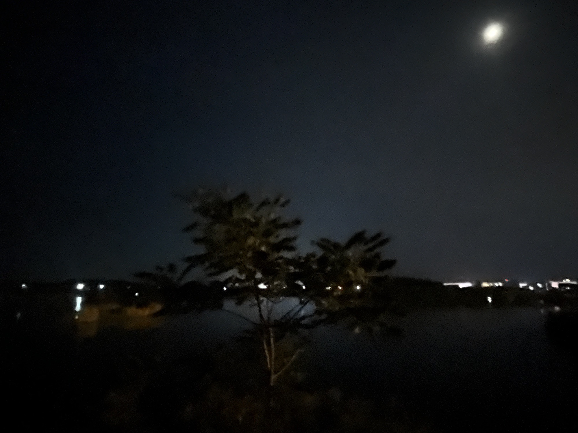 石漫滩国家湿地公园旅行图片 3