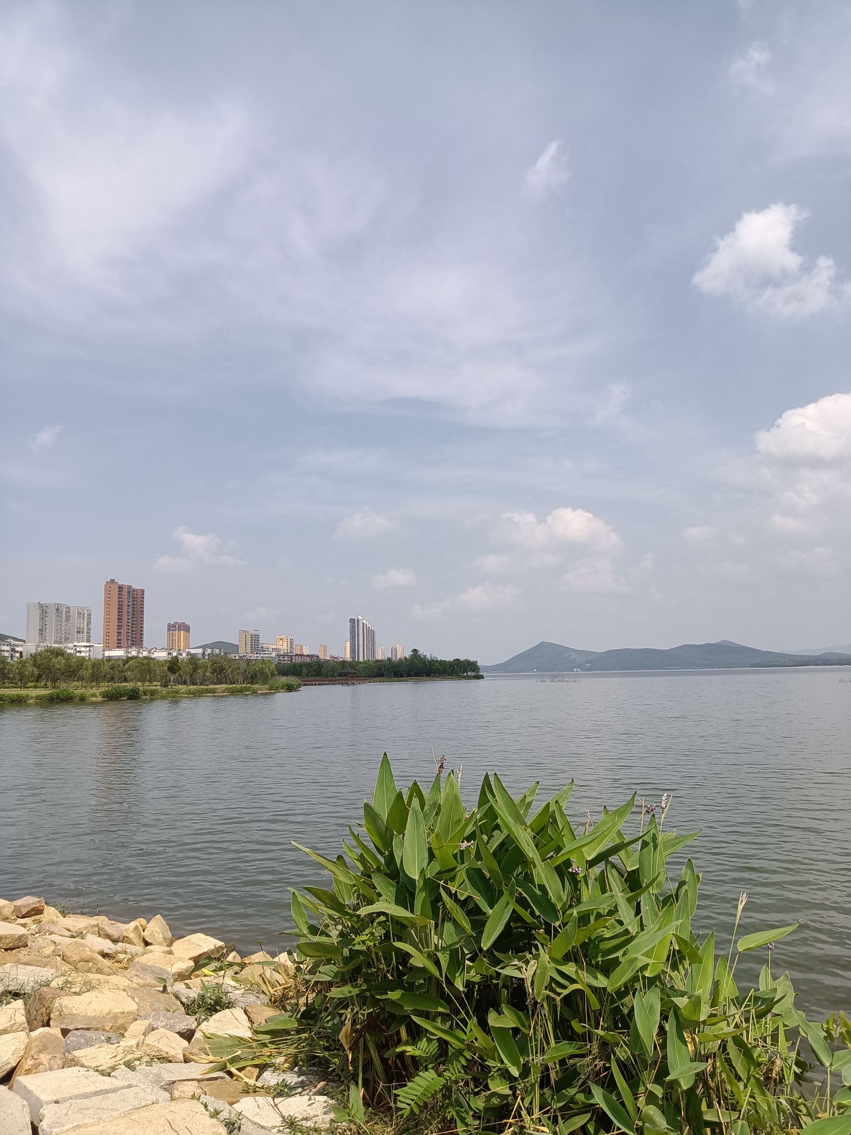 石漫滩国家湿地公园旅行图片 2