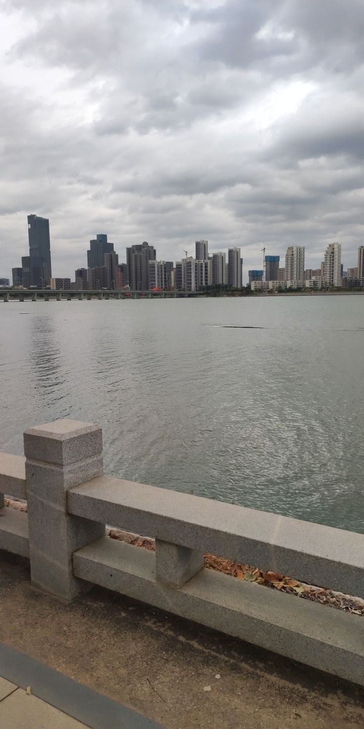 浪漫线石浔怡仁园旅行图片 2