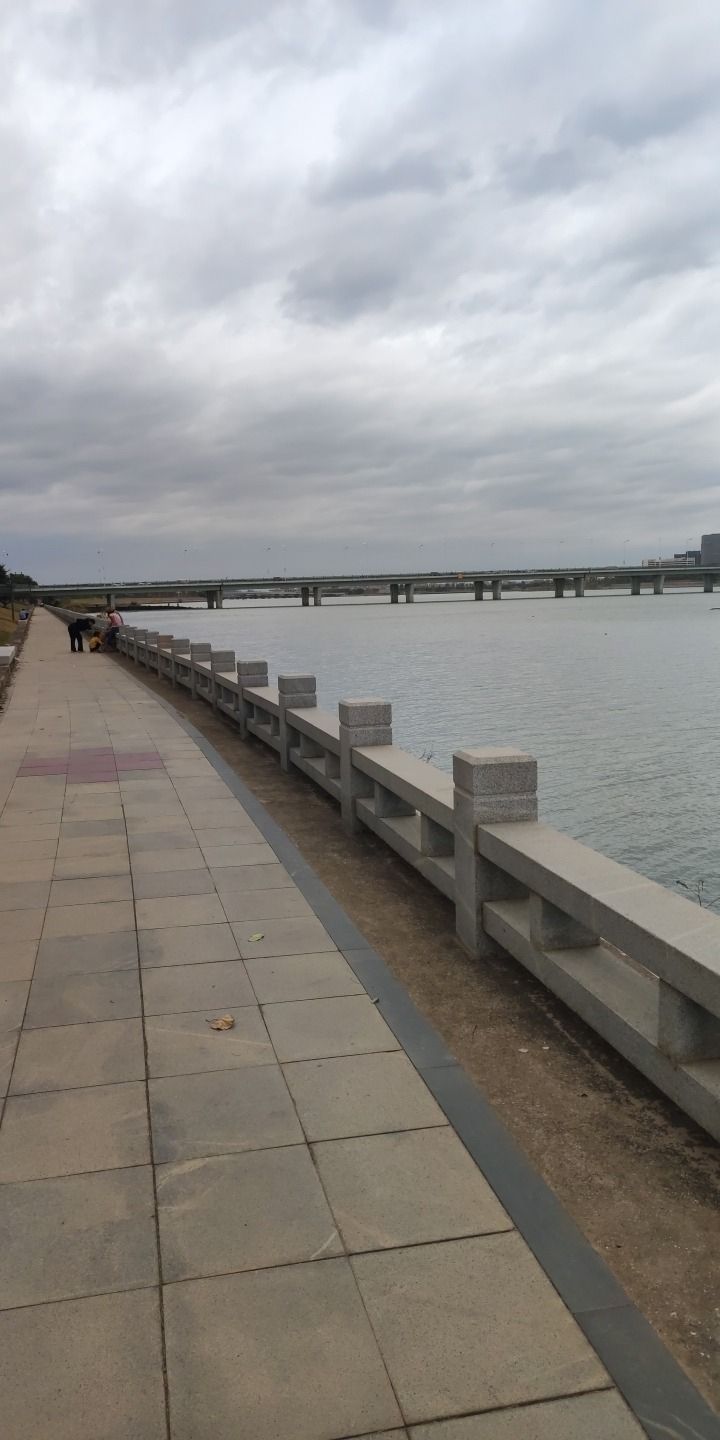 浪漫线石浔怡仁园旅行图片 1
