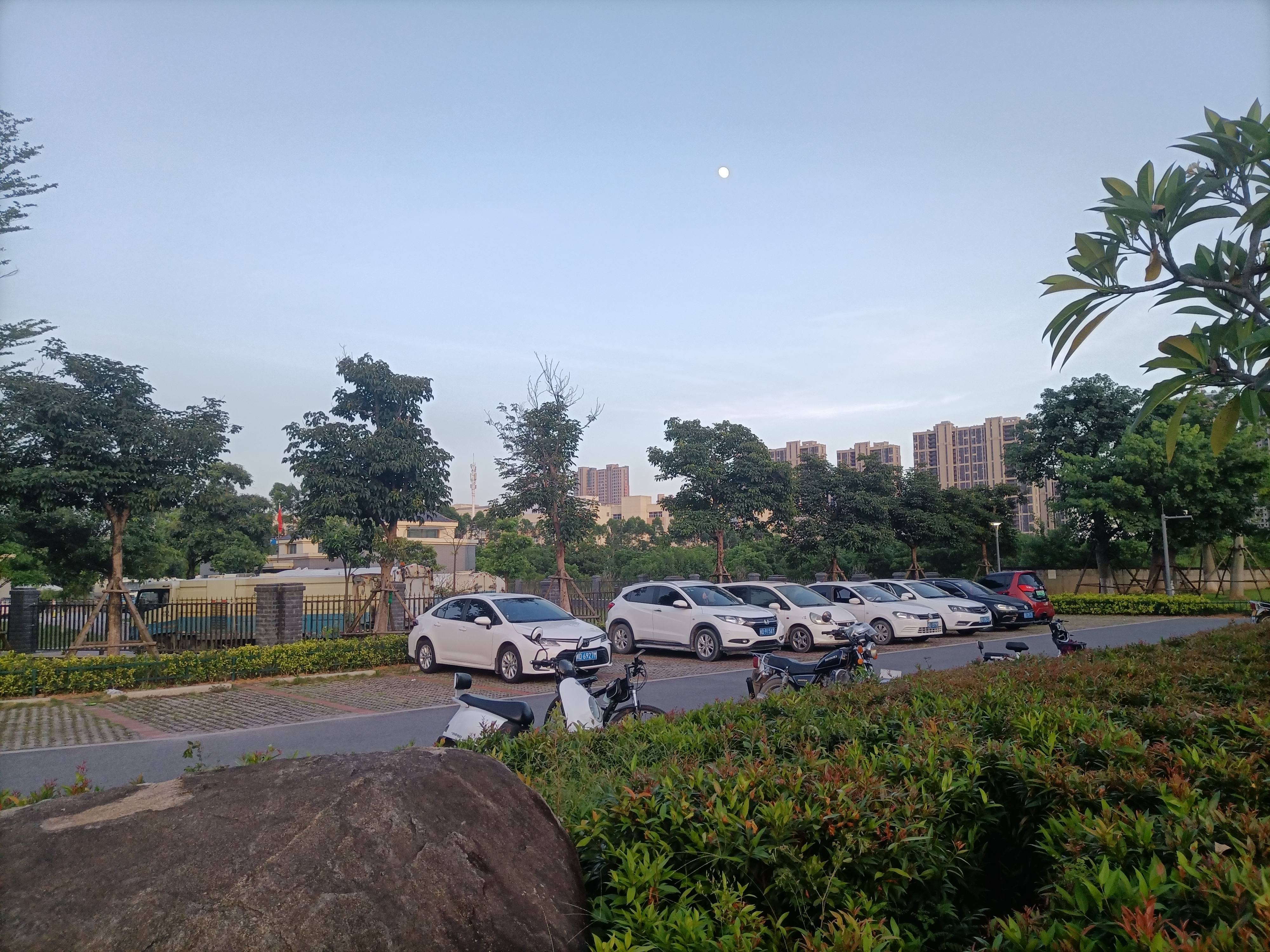 浪漫线石浔怡仁园旅行图片 1
