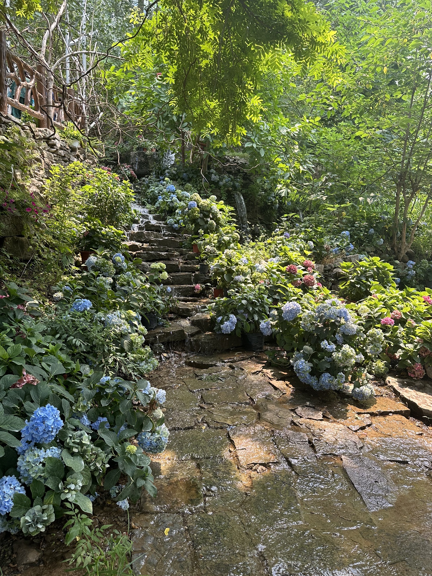 利山涧旅游度假区旅行图片 2