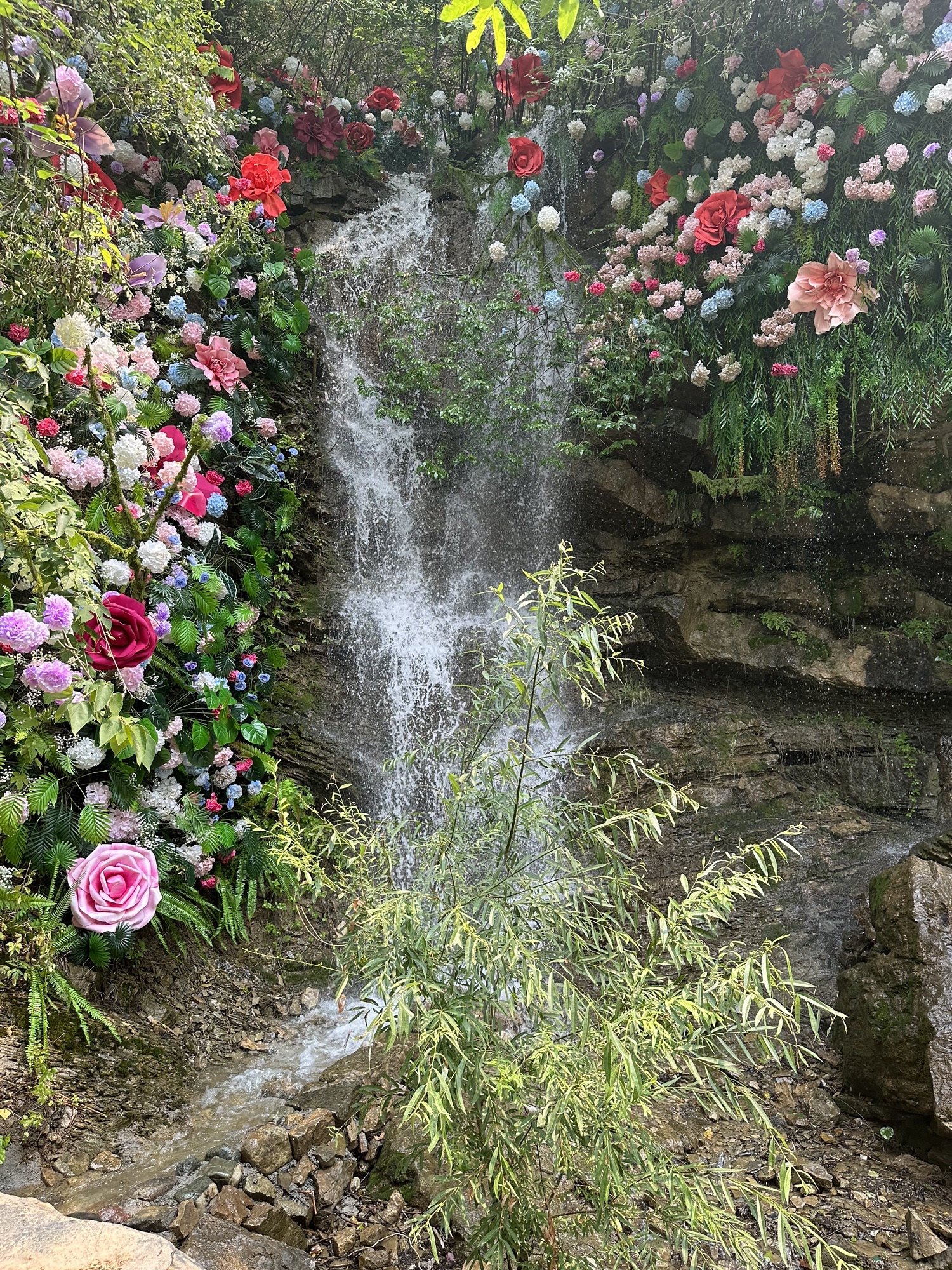 利山涧旅游度假区旅行图片 3