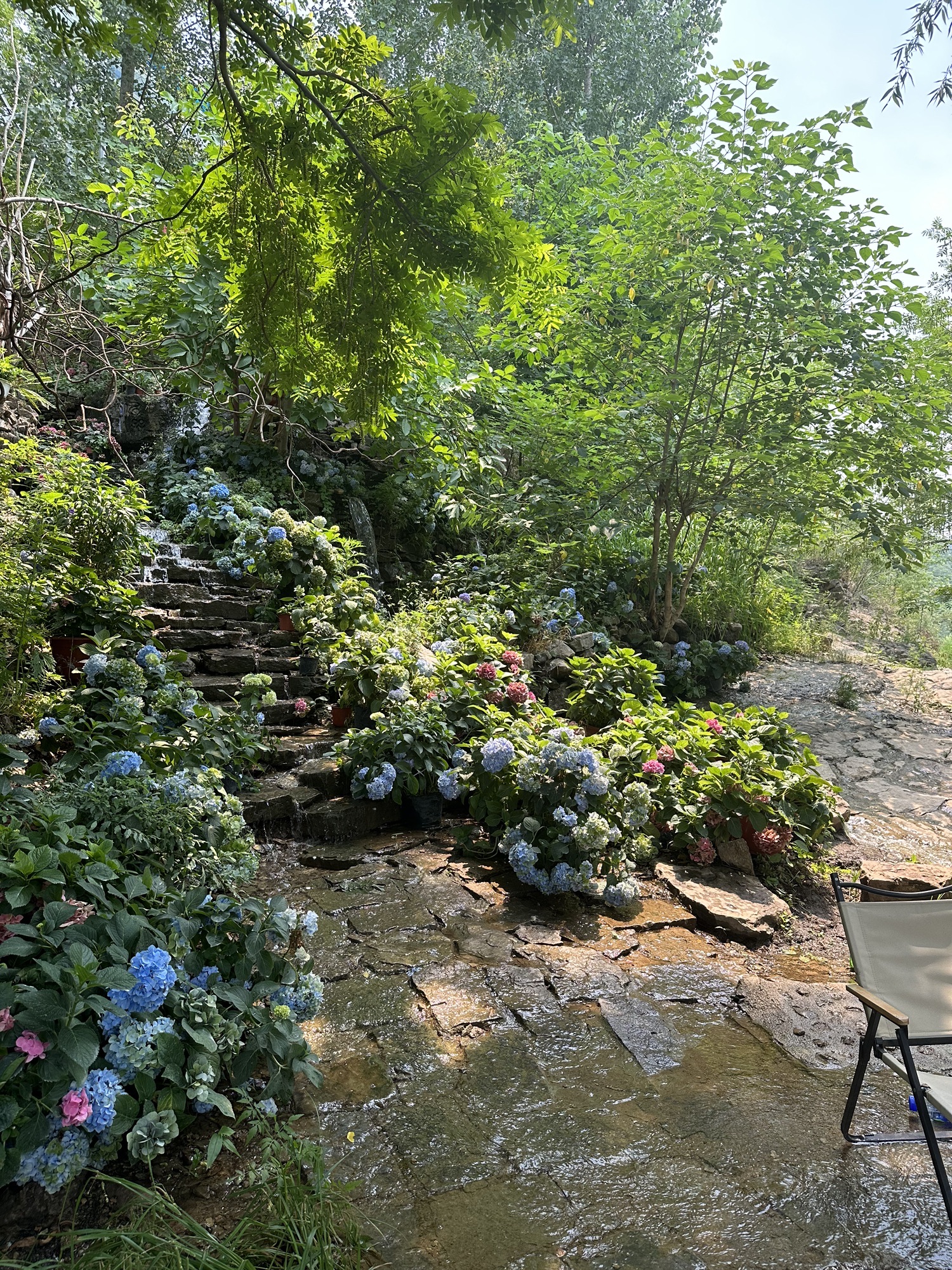 利山涧旅游度假区旅行图片 1