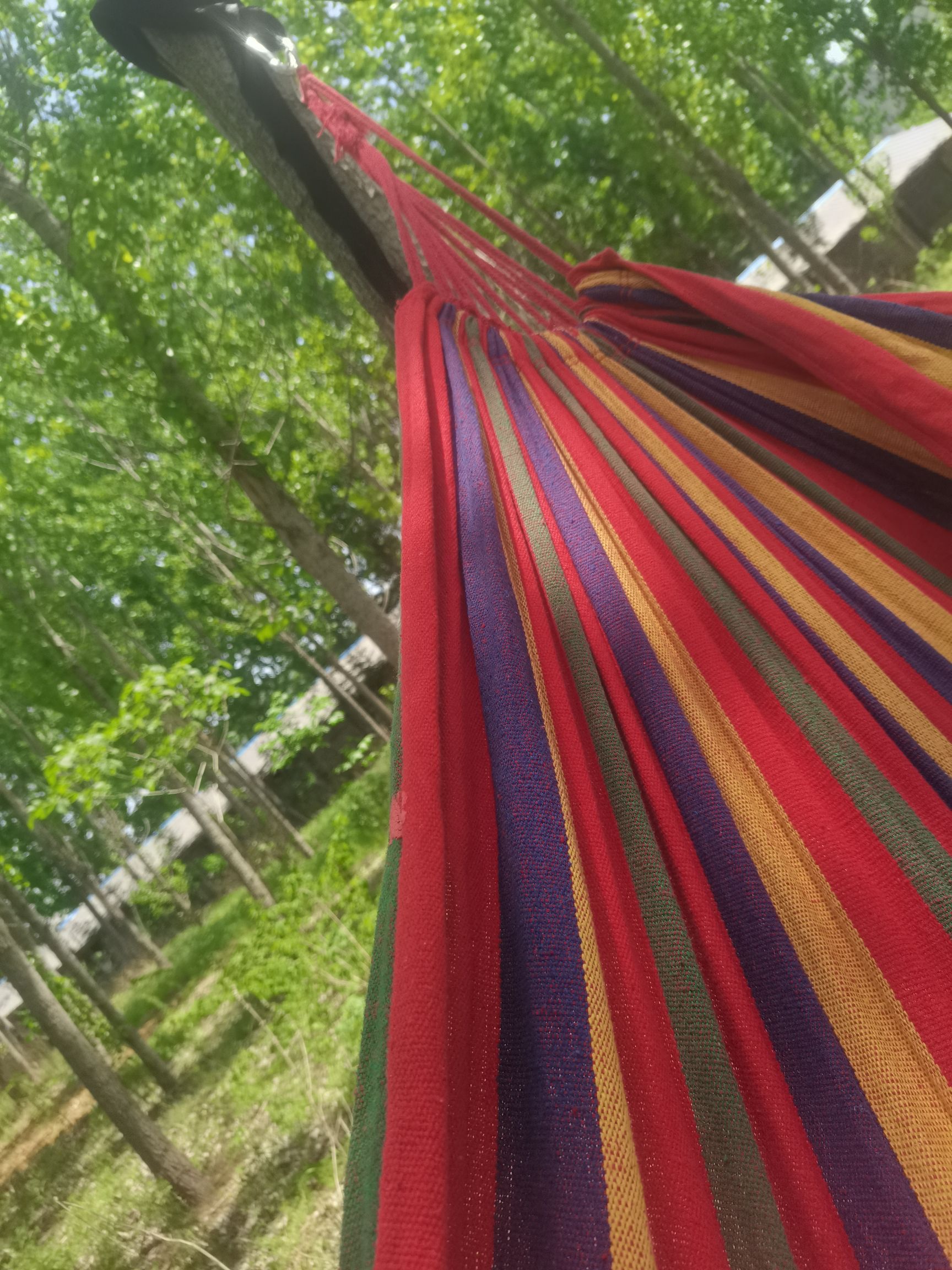 利山涧旅游度假区旅行图片 1