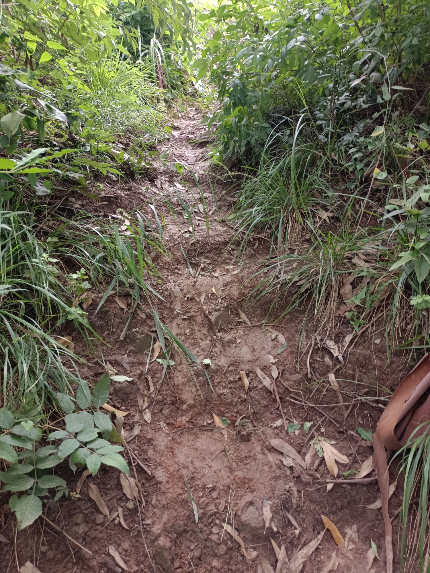晋凤天梯旅行图片 1