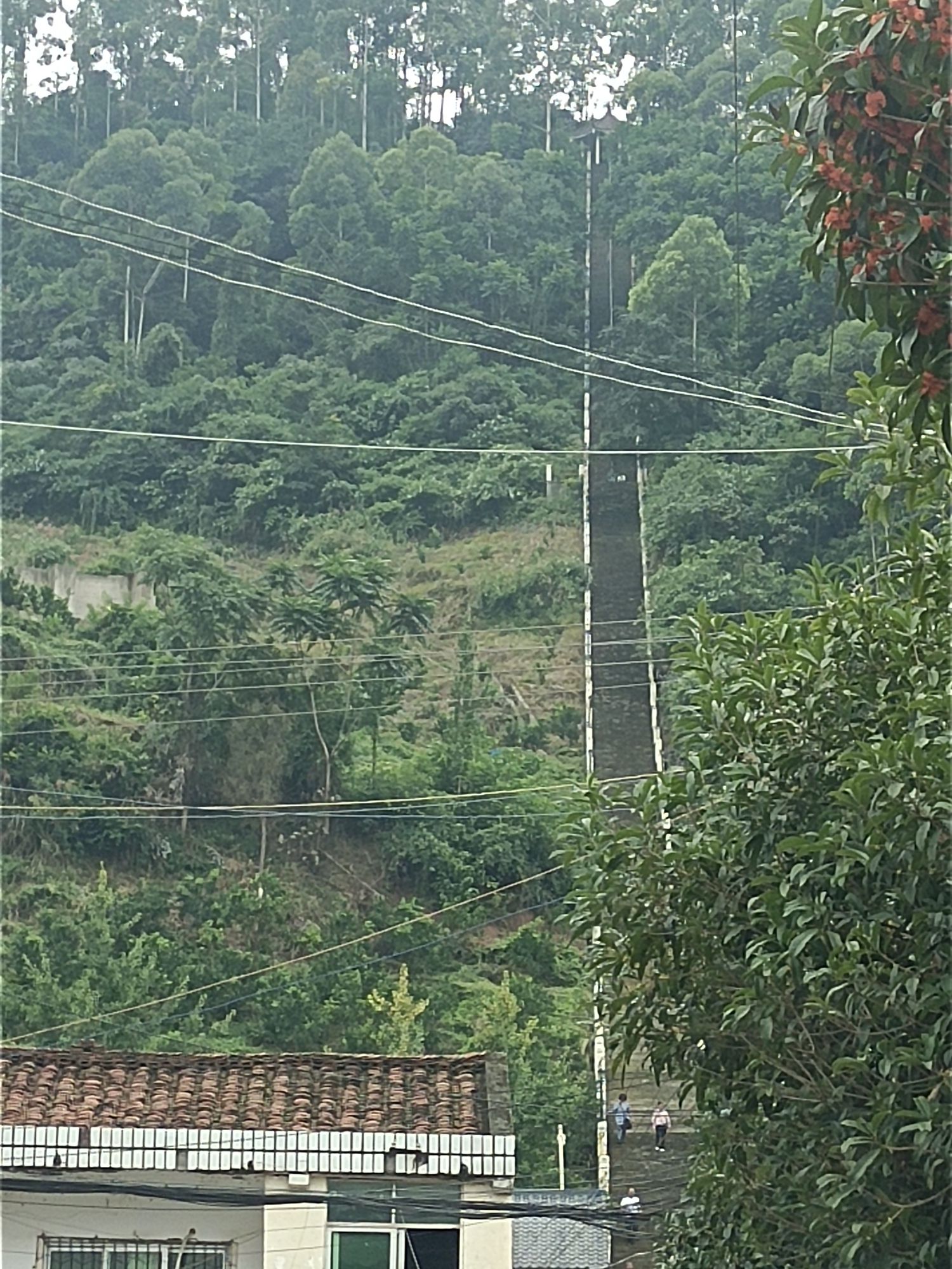 晋凤天梯旅行图片 3