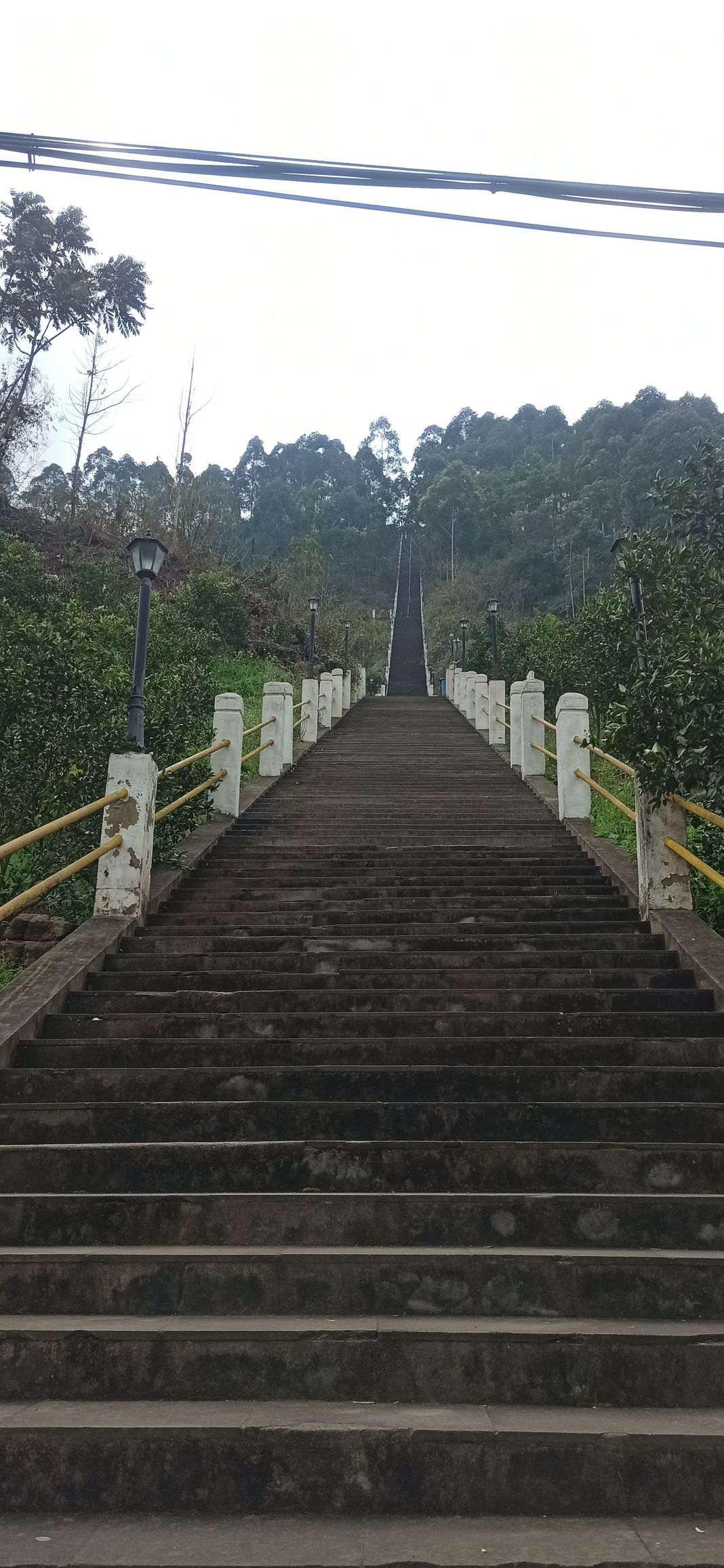 晋凤天梯旅行图片 1