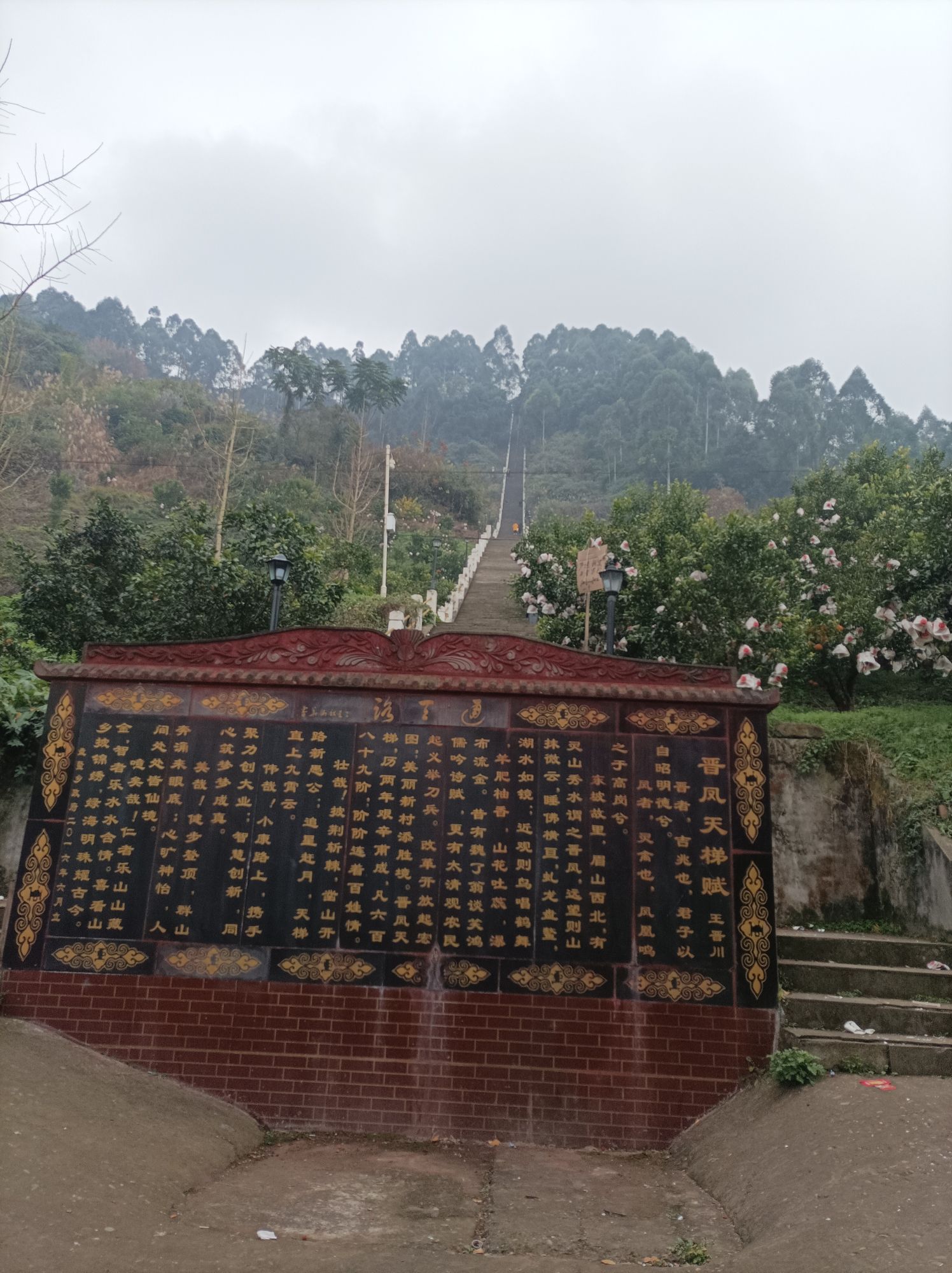 晋凤天梯旅行图片 1