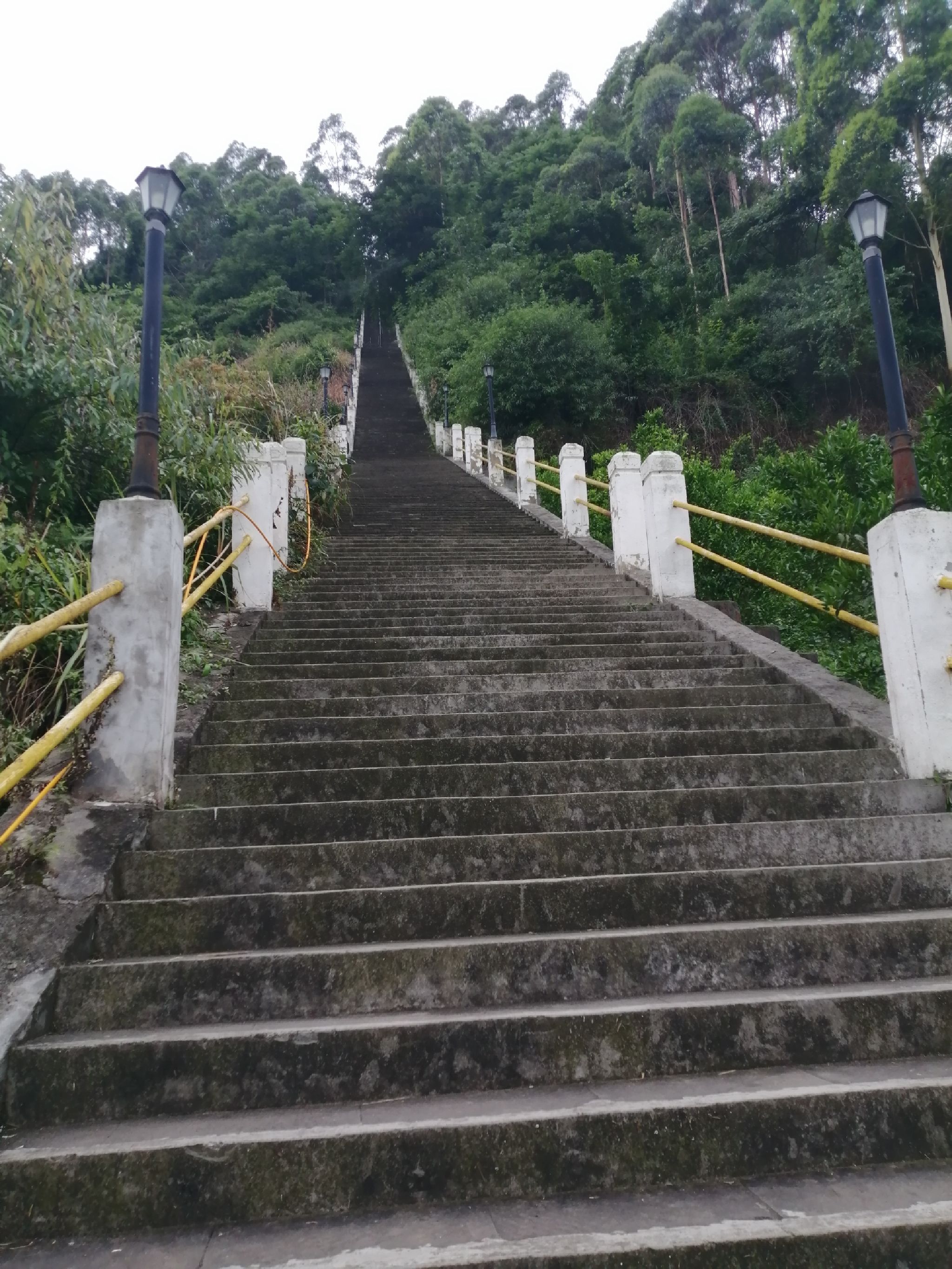 晋凤天梯旅行图片 2